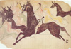 The Rise and Fall of Plains Indian Horse Cultures