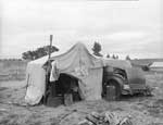 Pea Picker's Home, Nipomo, Calif. (1936) 