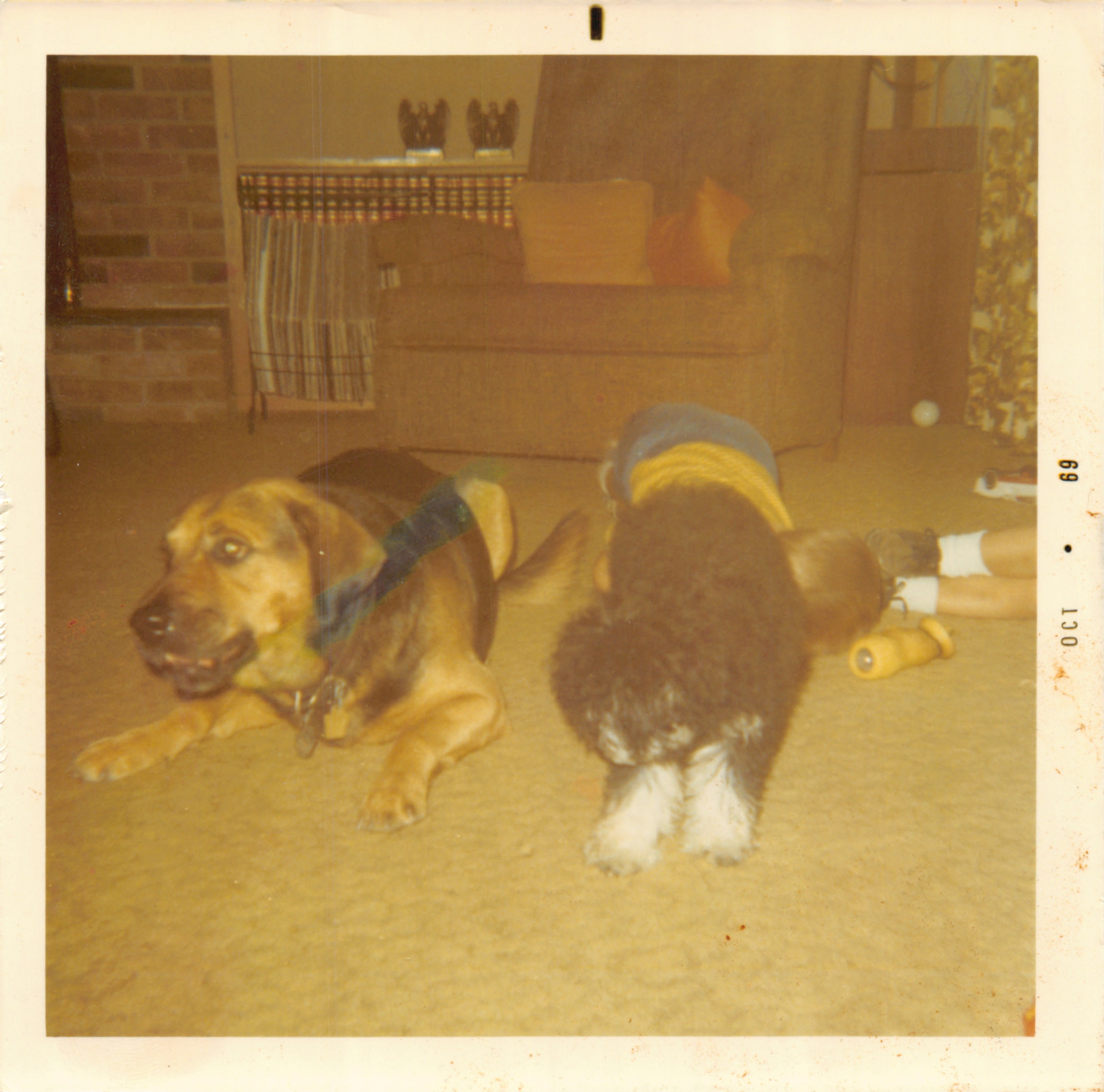 1969_misc_015.jpg