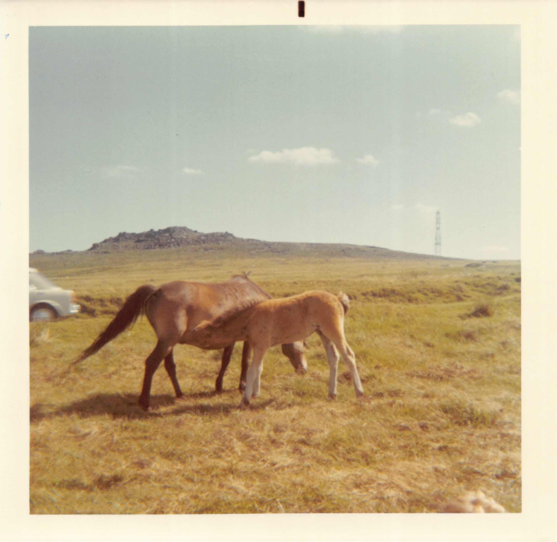 1970_057.jpg