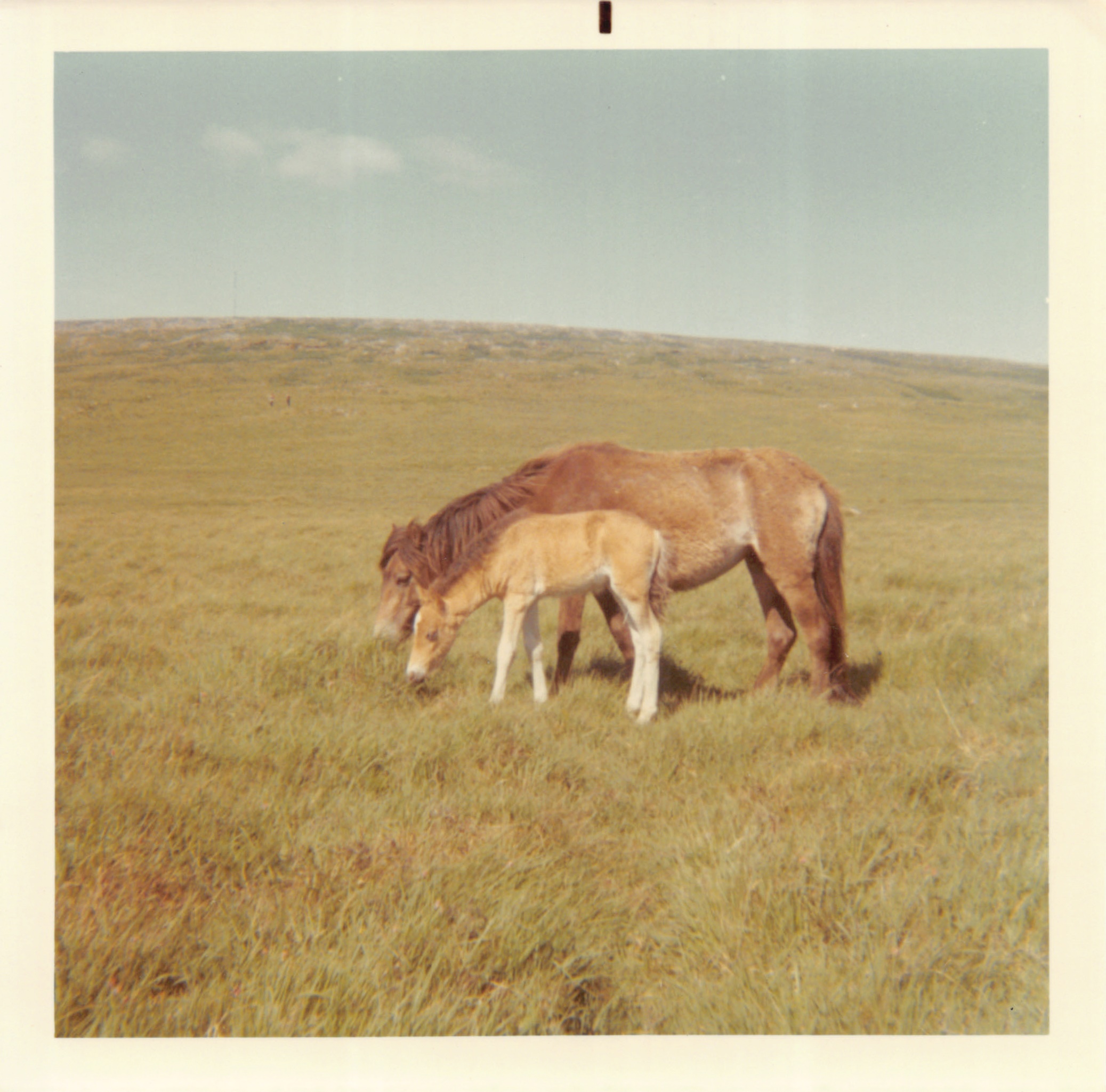1970_061.jpg