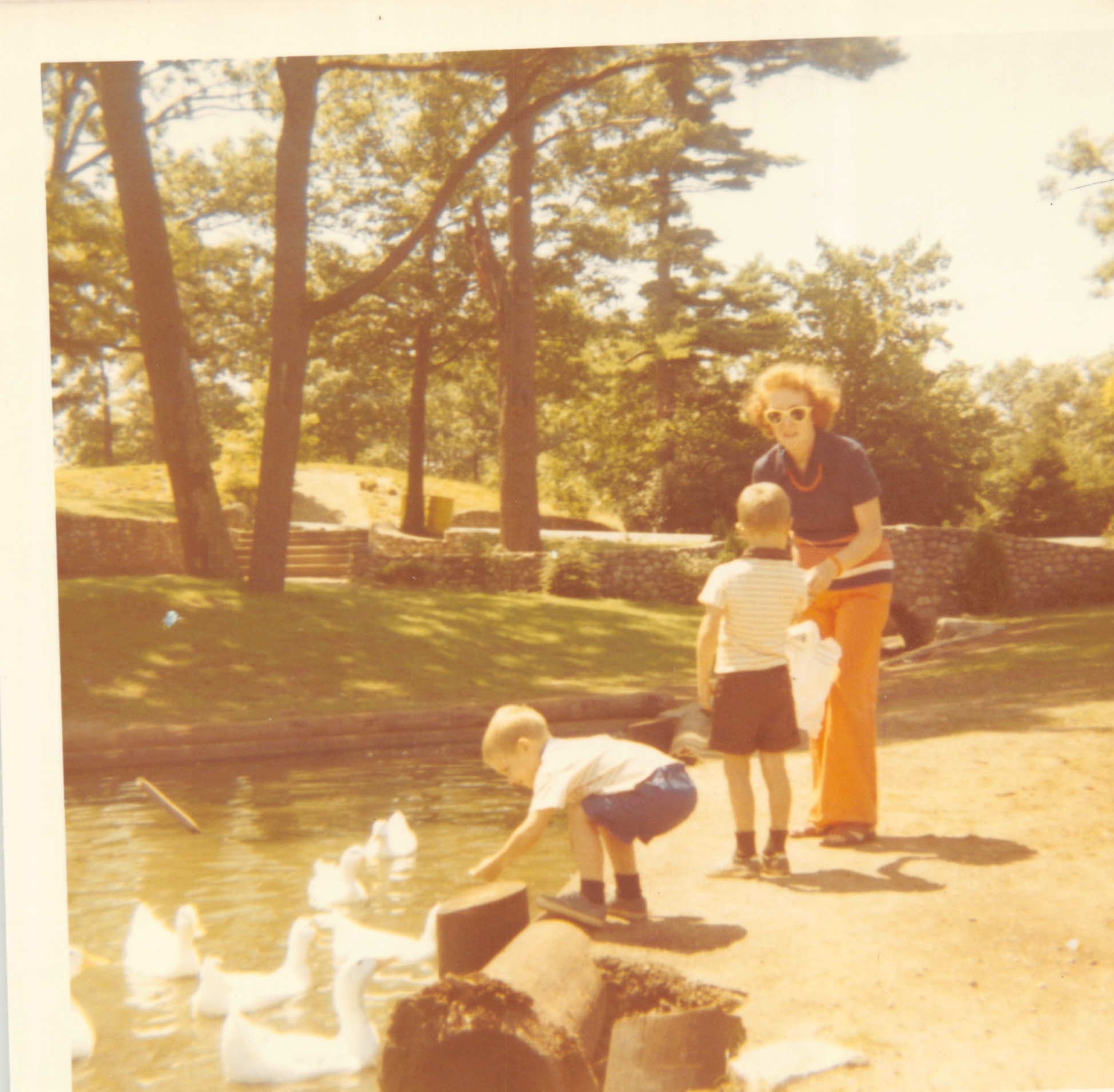1971_037.jpg