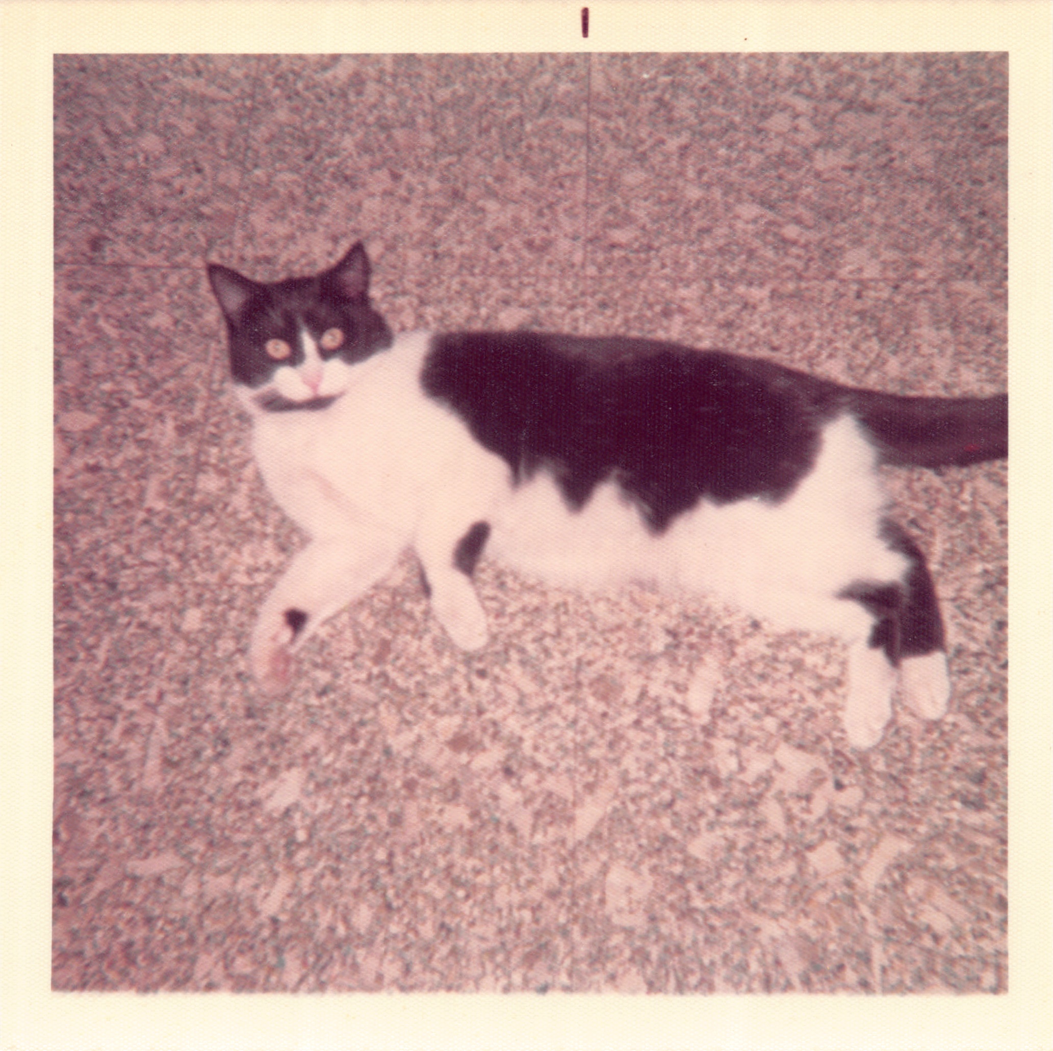 1973_006.jpg