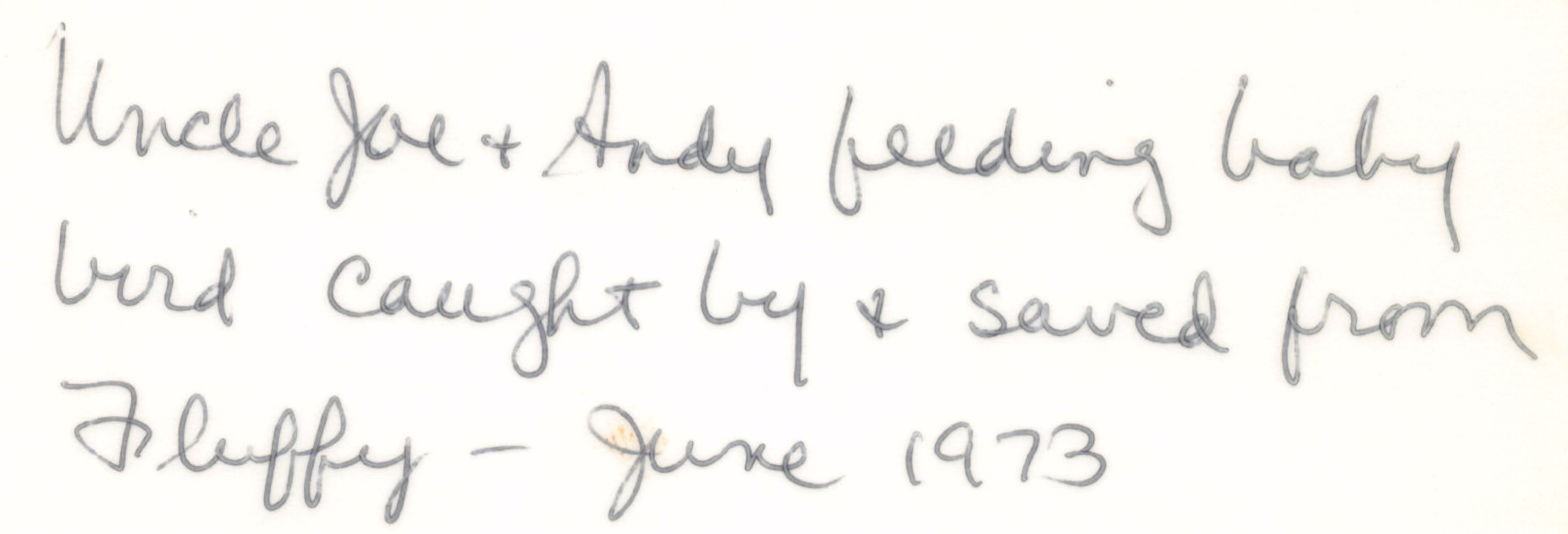 1973_026.jpg