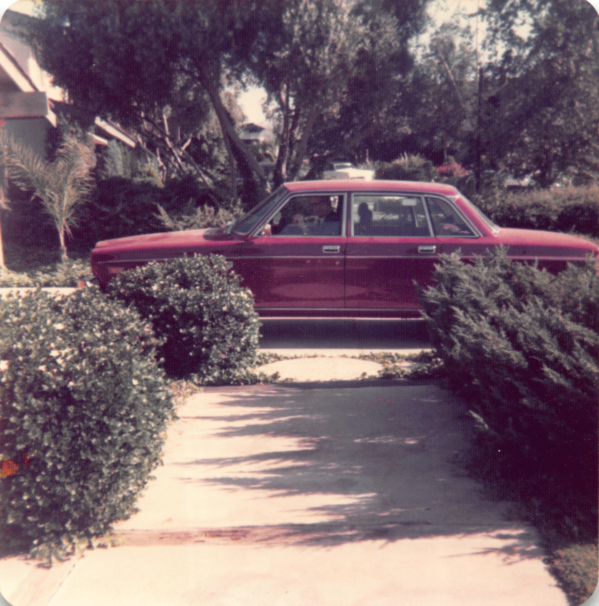 1974_031.jpg