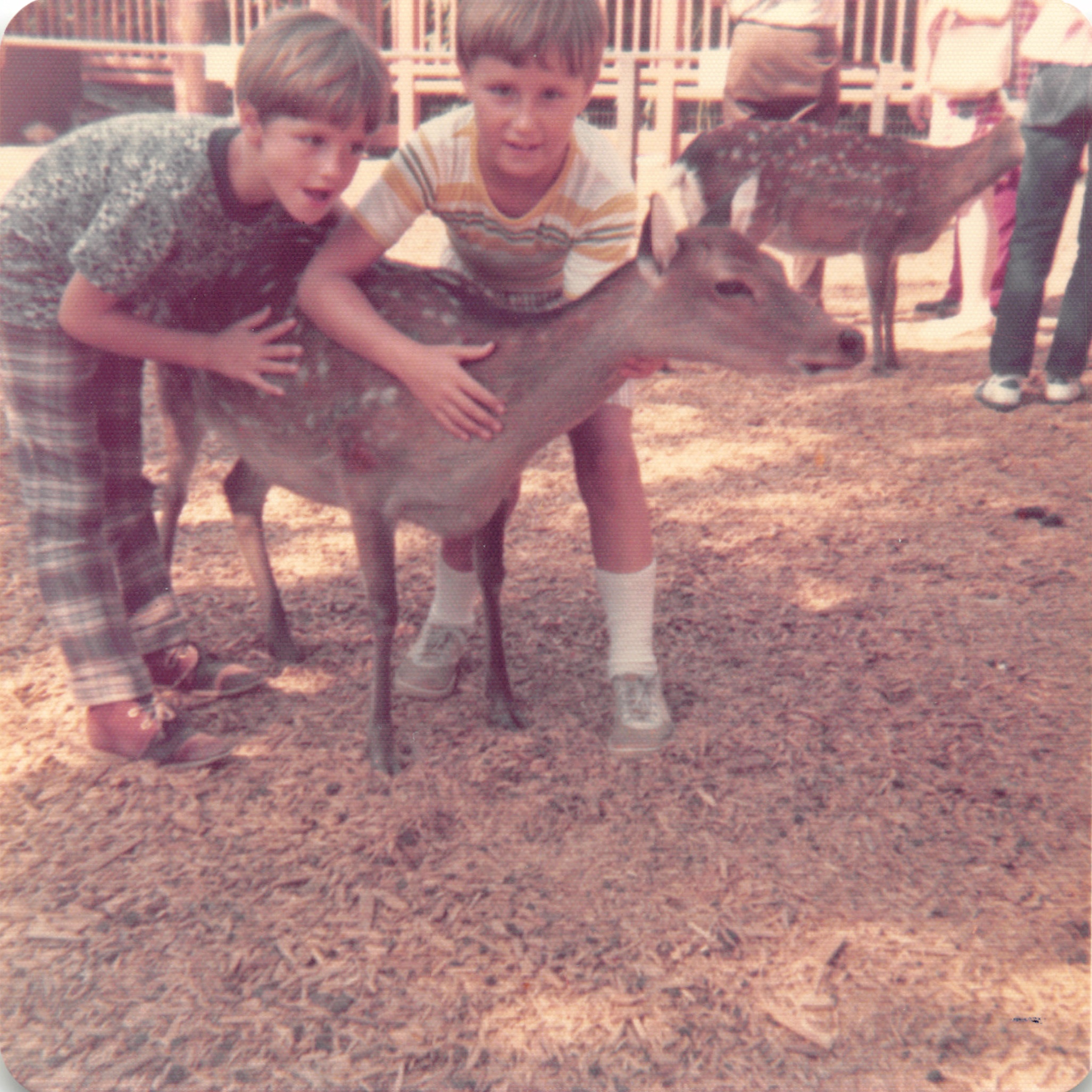 1974_083.jpg