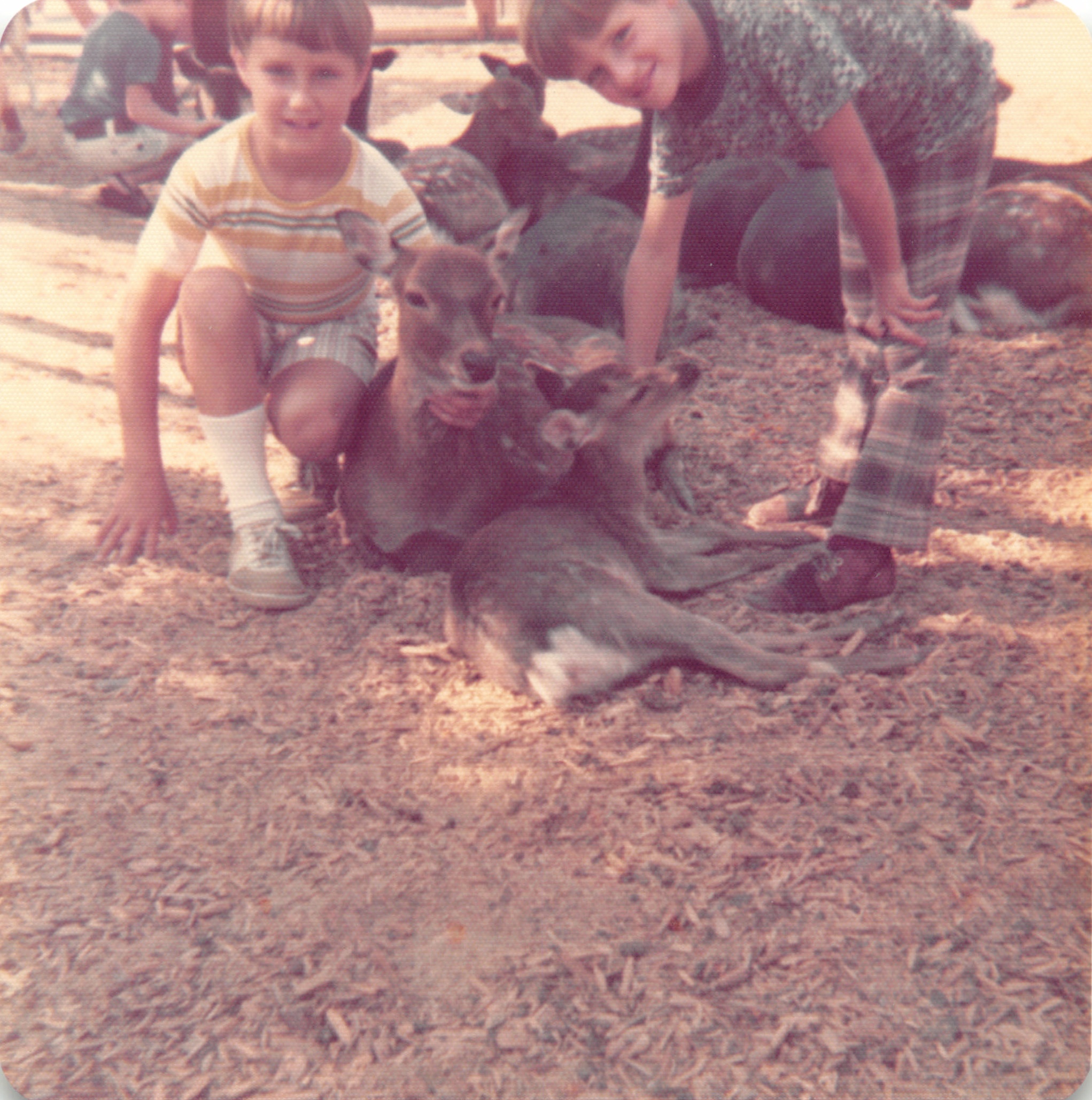 1974_087.jpg
