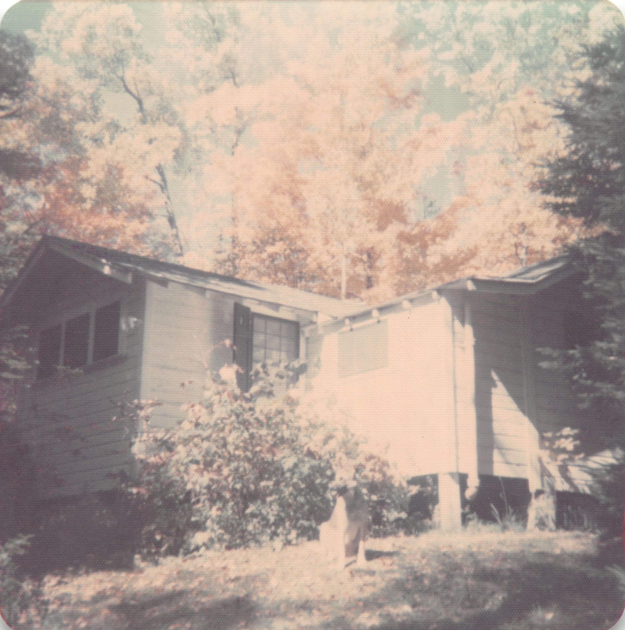 1974_095.jpg