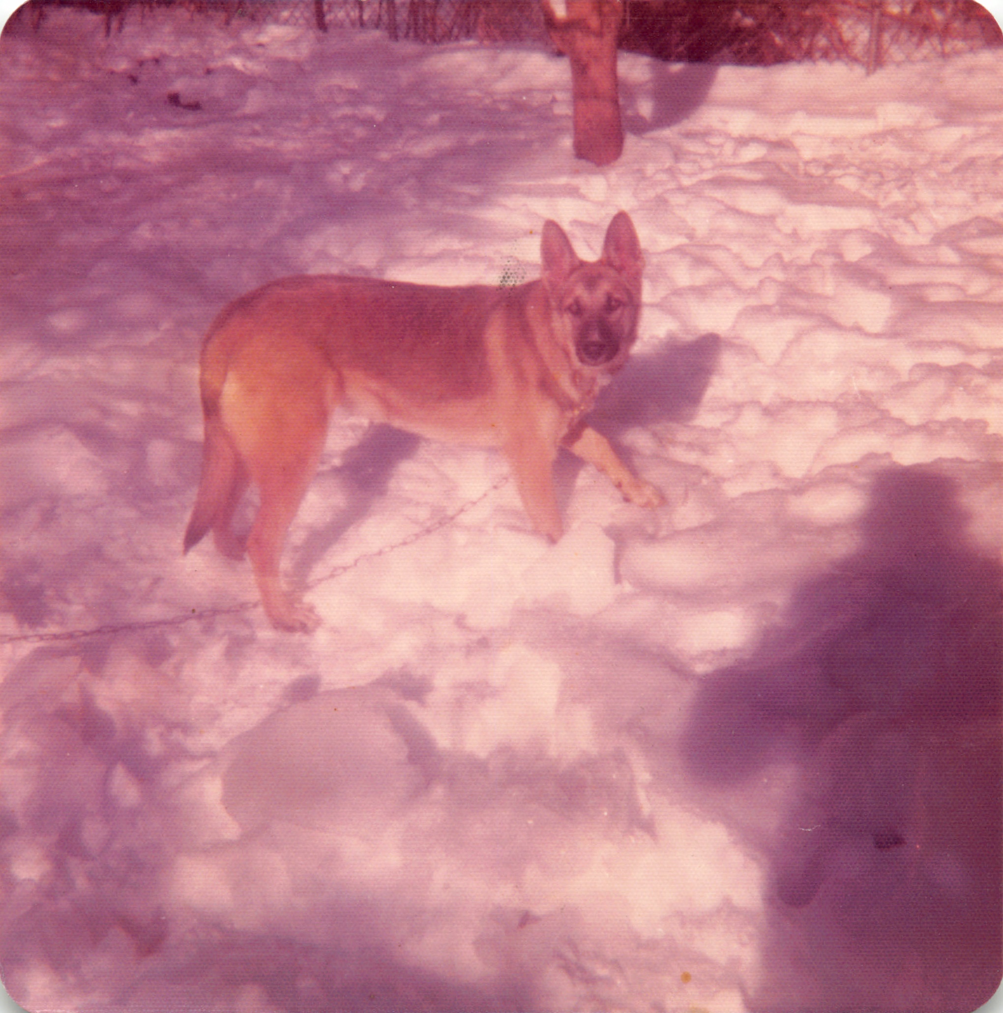 1974_099.jpg
