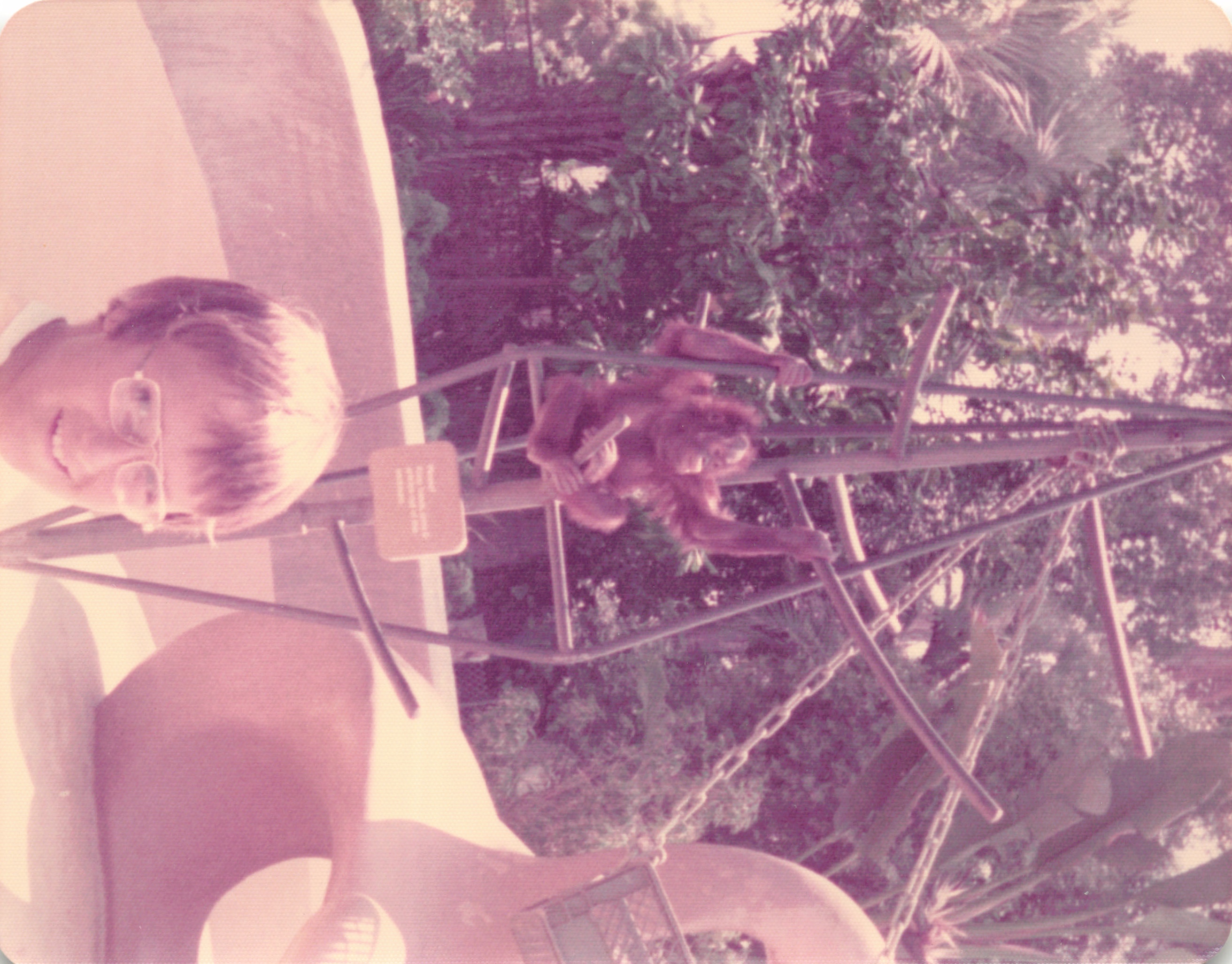 1975_028.jpg