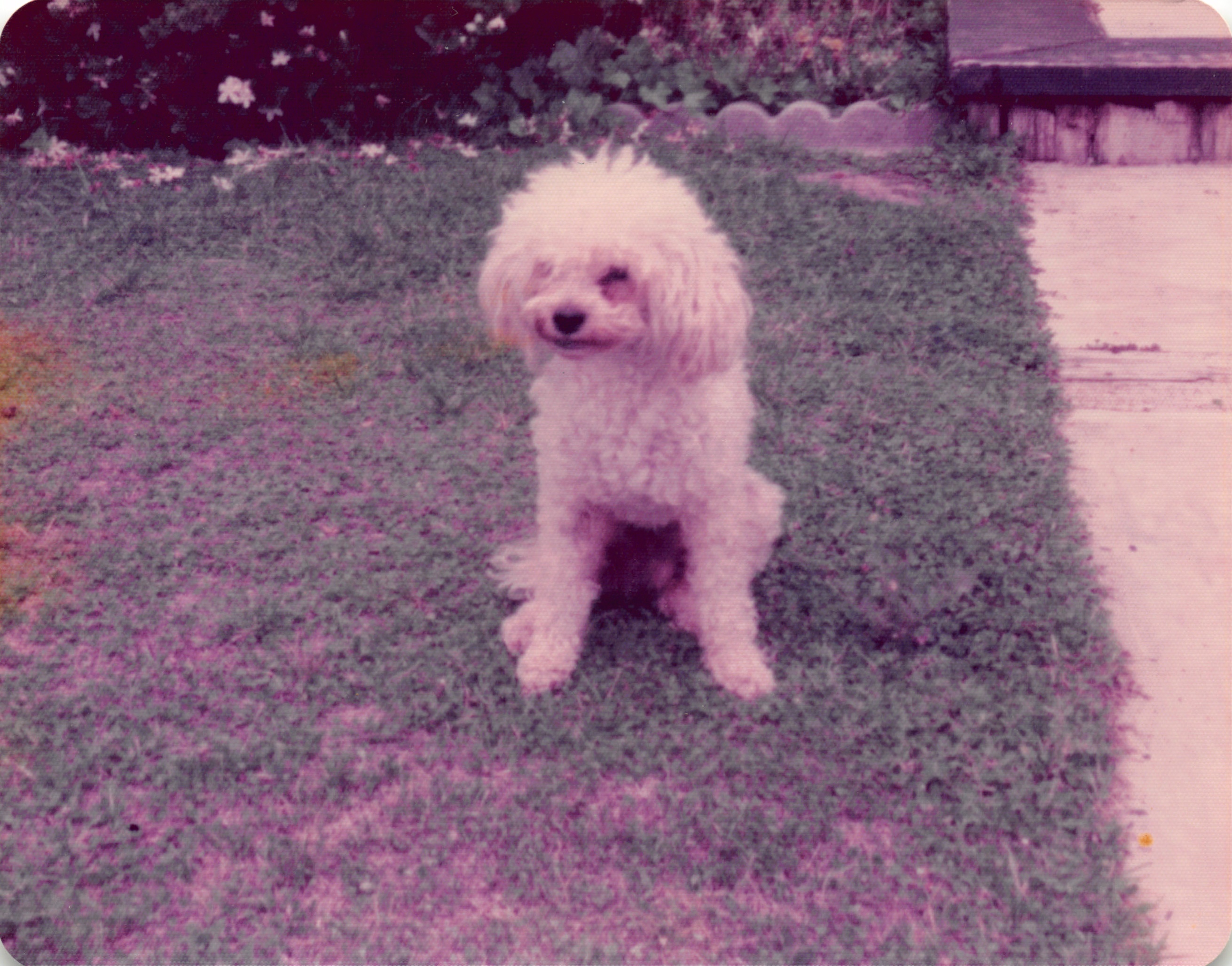 1975_087.jpg