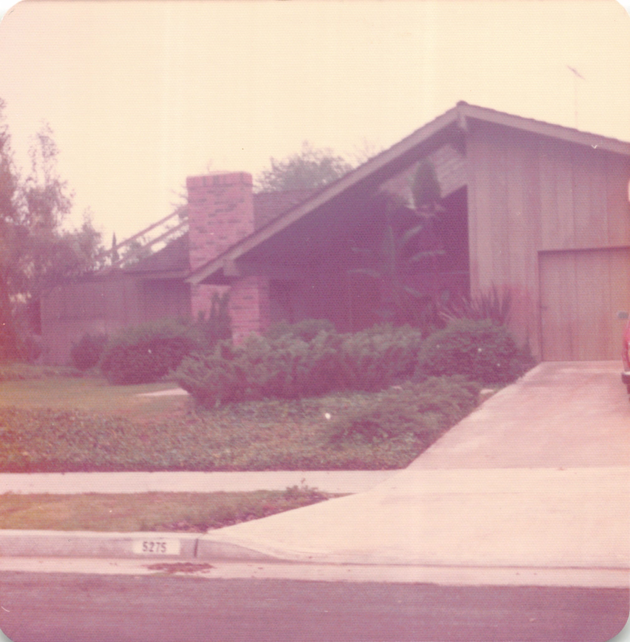 1975_125.jpg