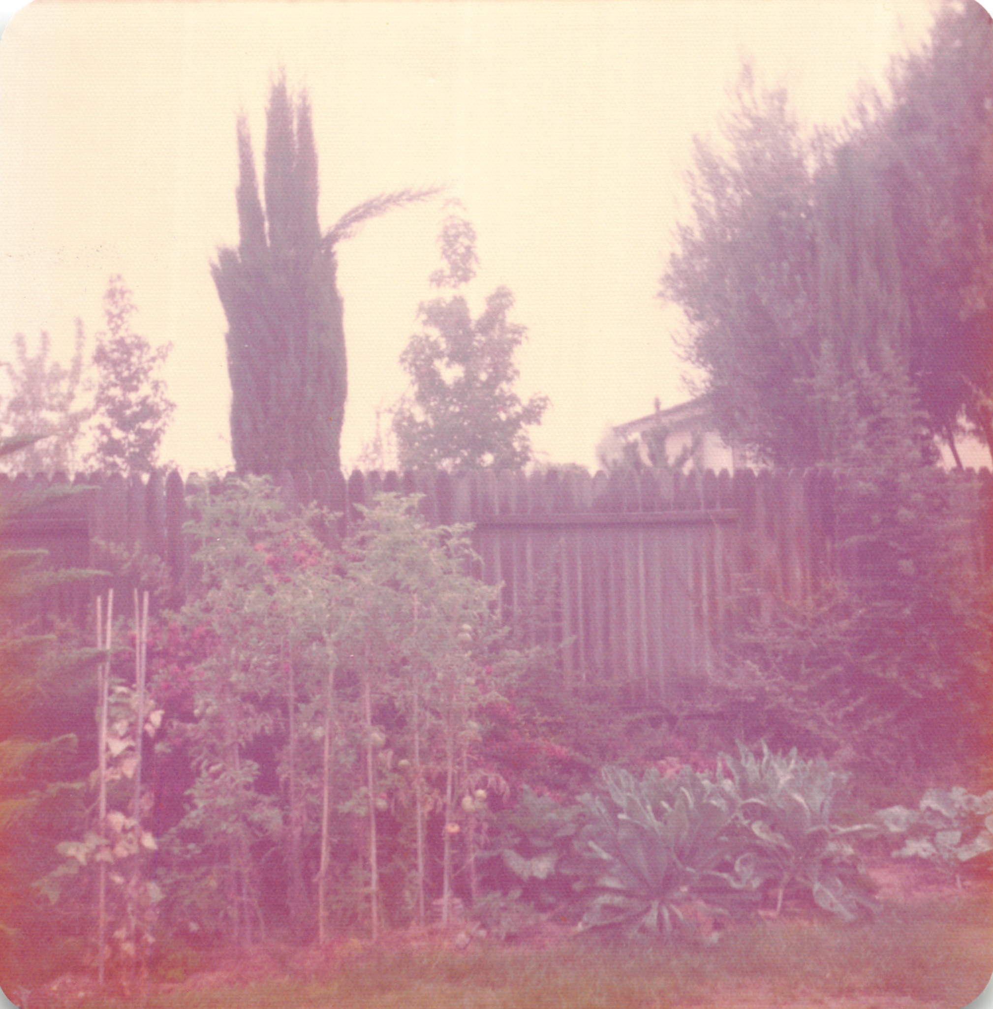 1975_127.jpg