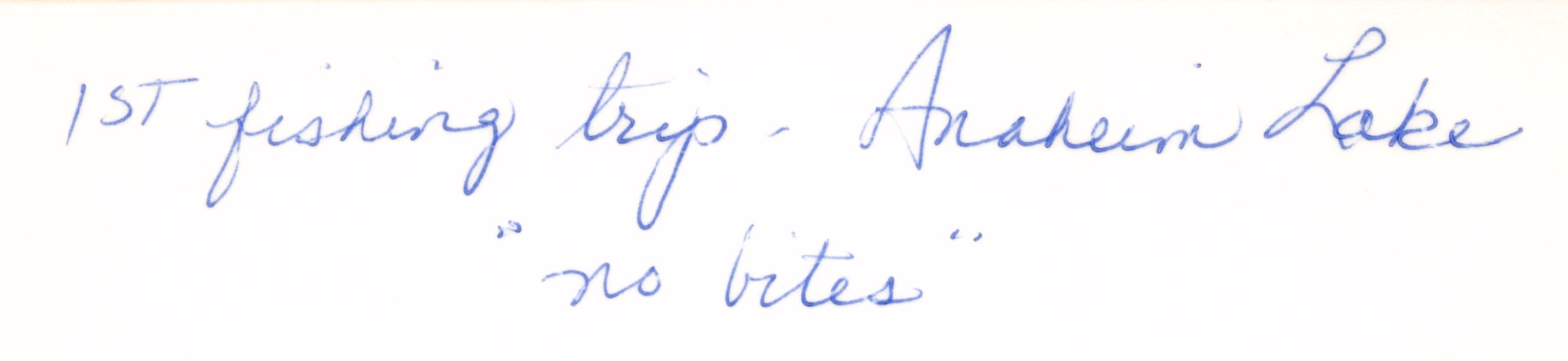 1975_157.jpg