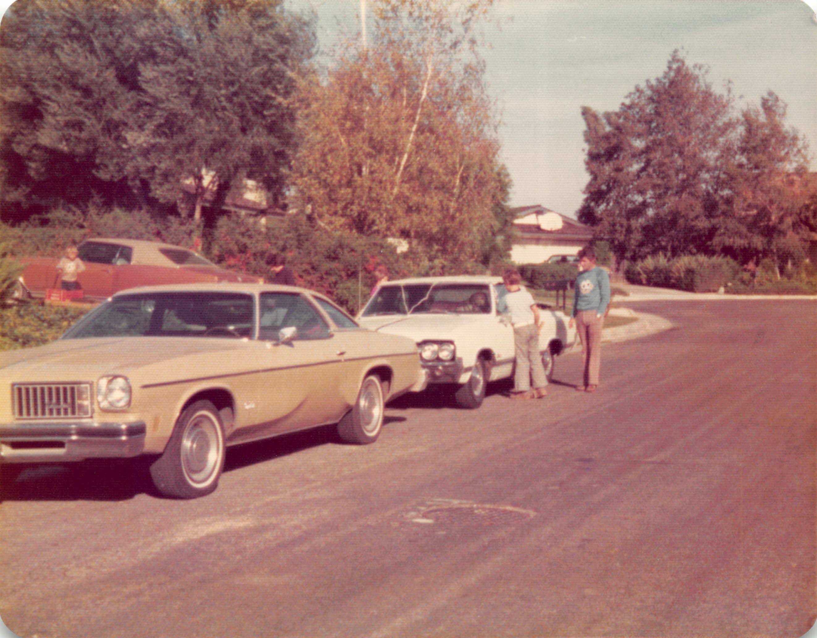1975_174.jpg