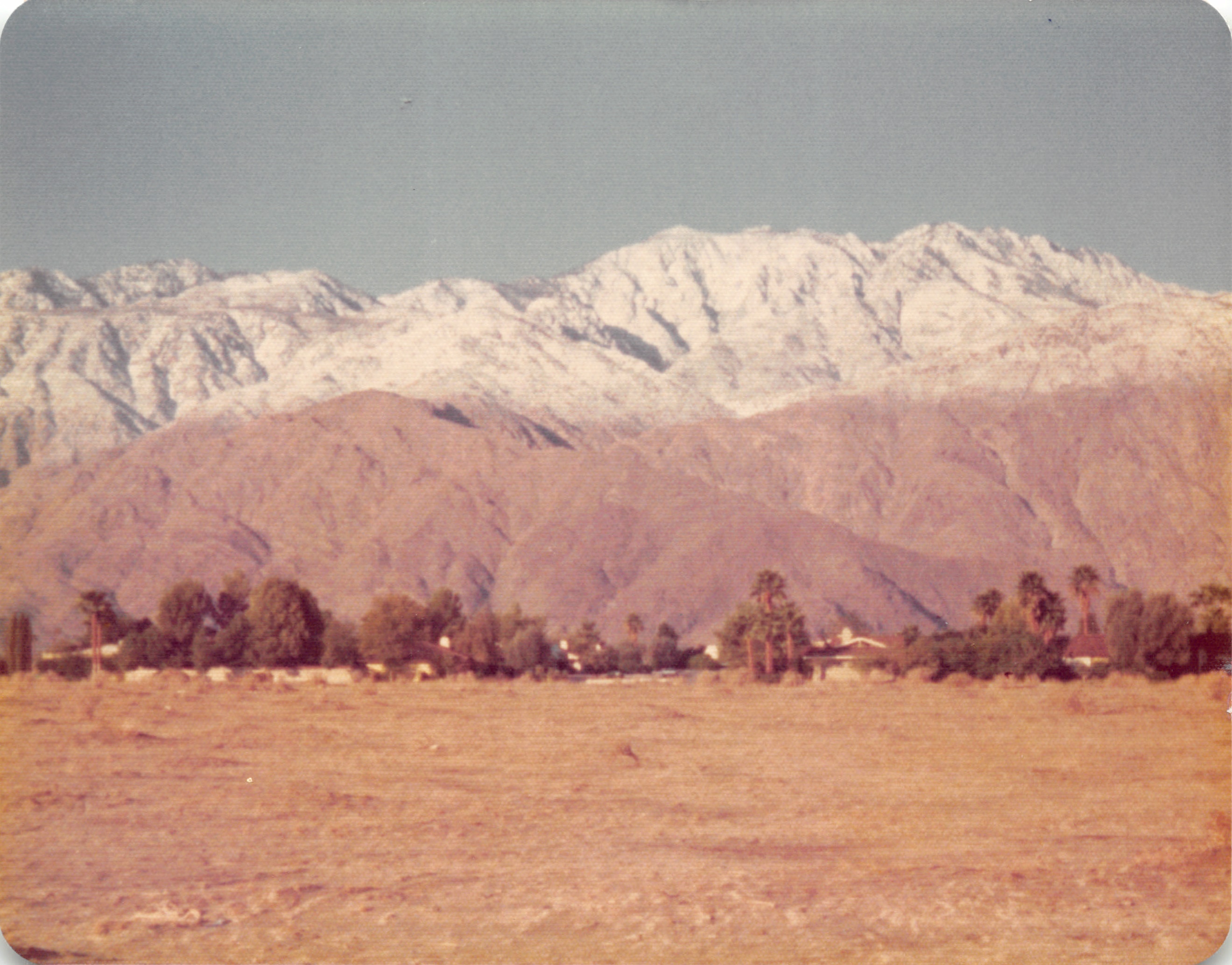 1975_180.jpg