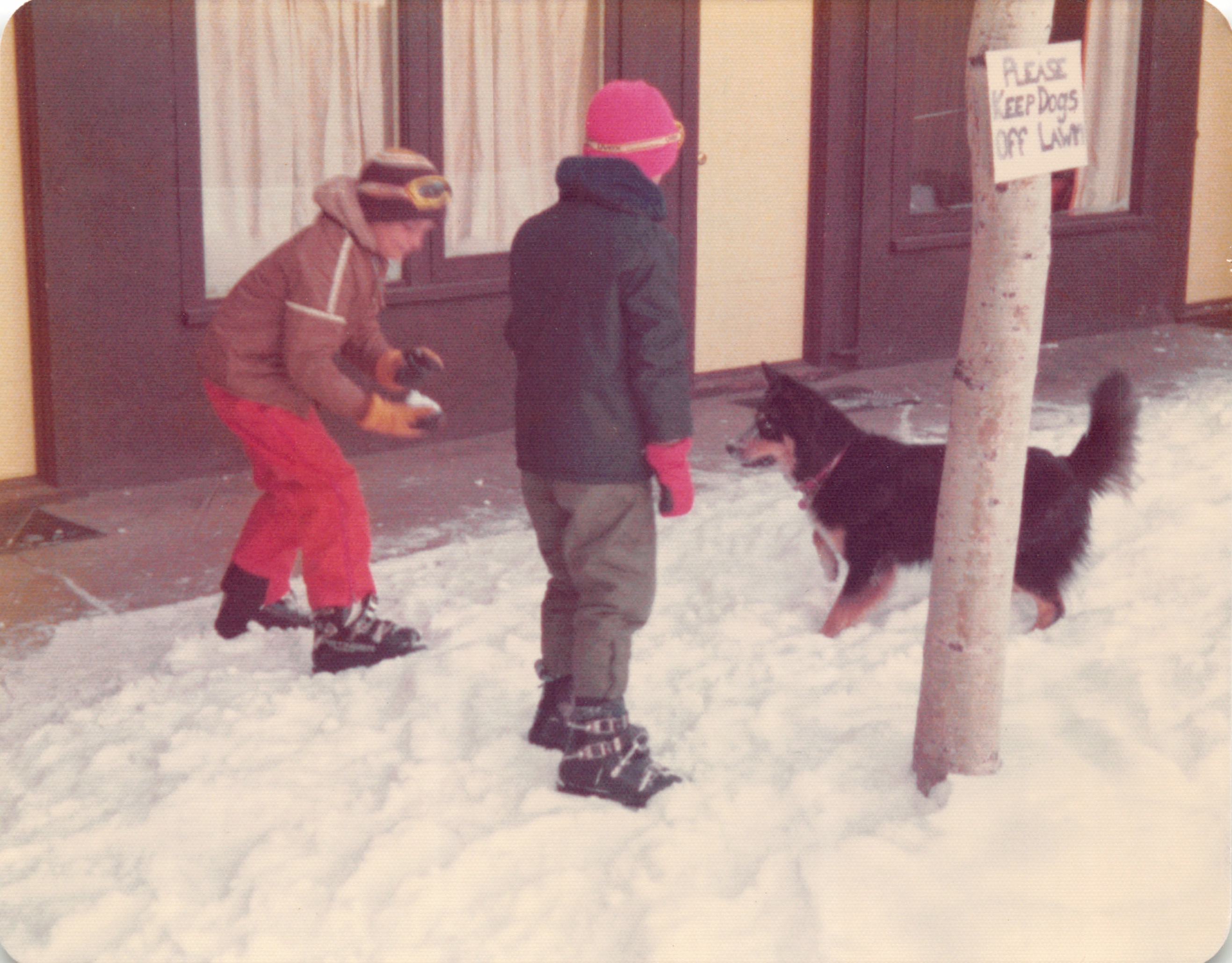 1975_201.jpg