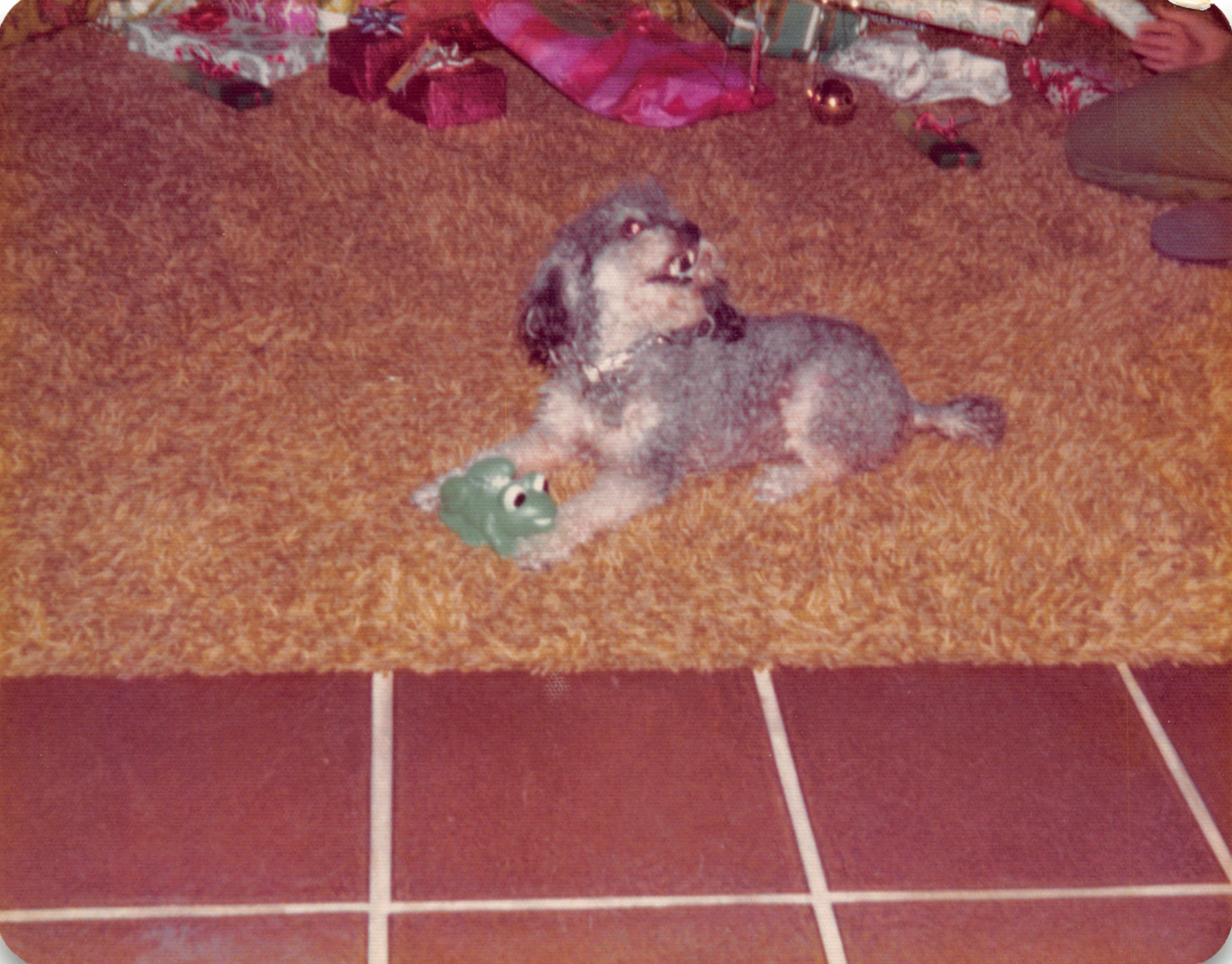 1975_207.jpg