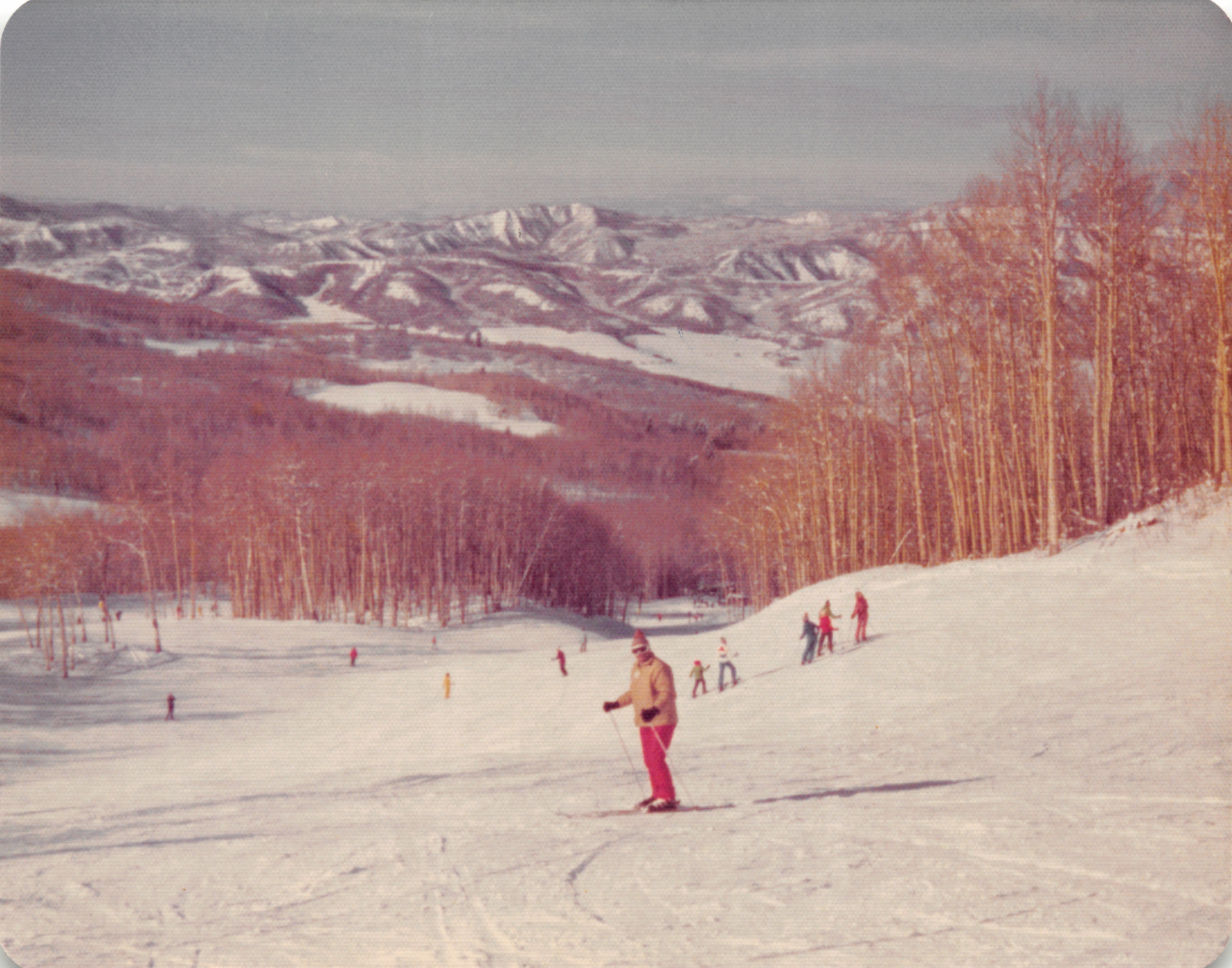 1975_245.jpg