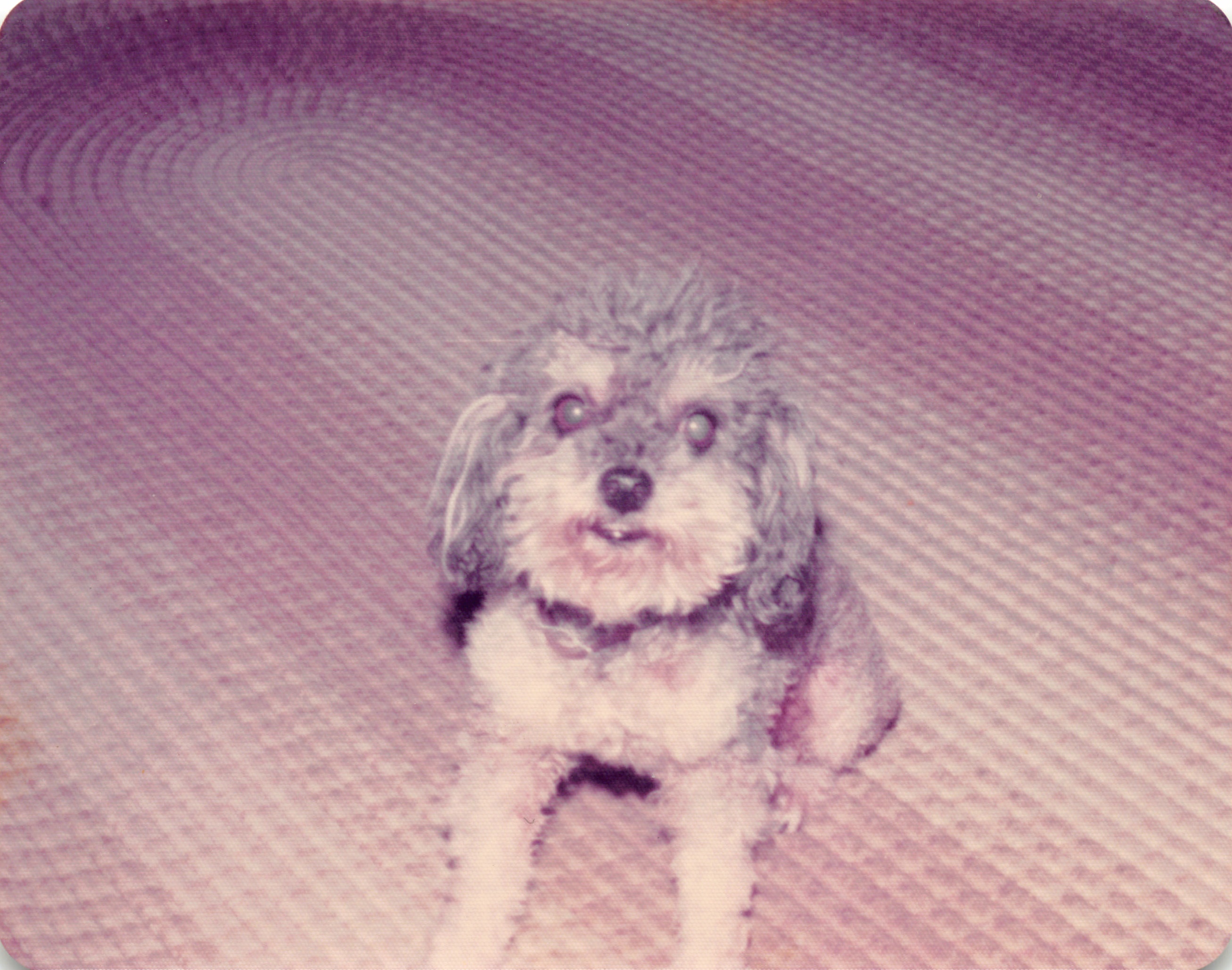 1975_265.jpg