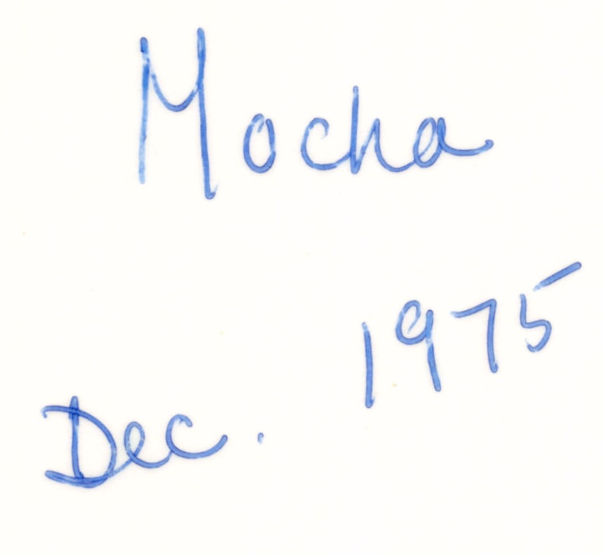 1975_266.jpg