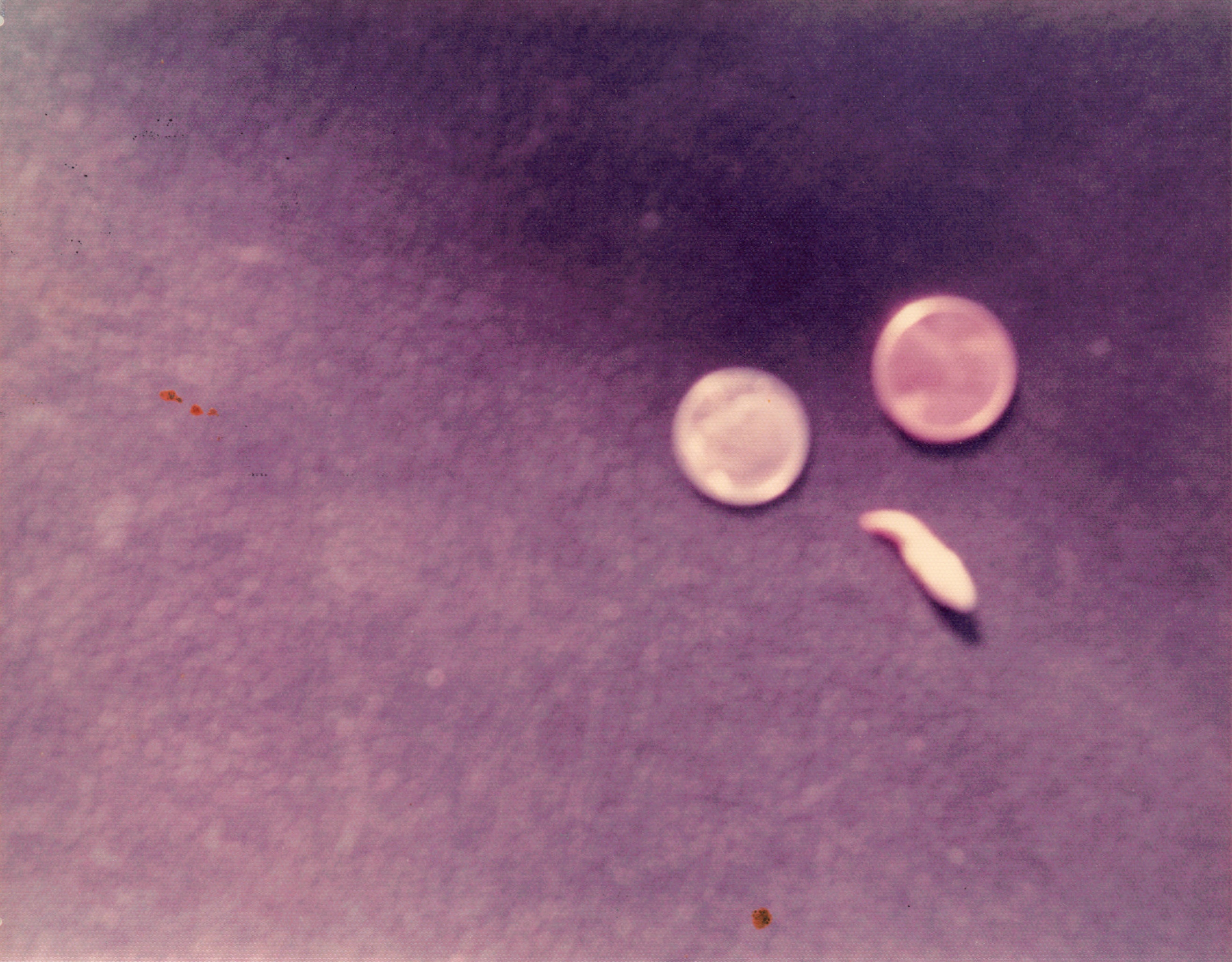 1976_014.jpg