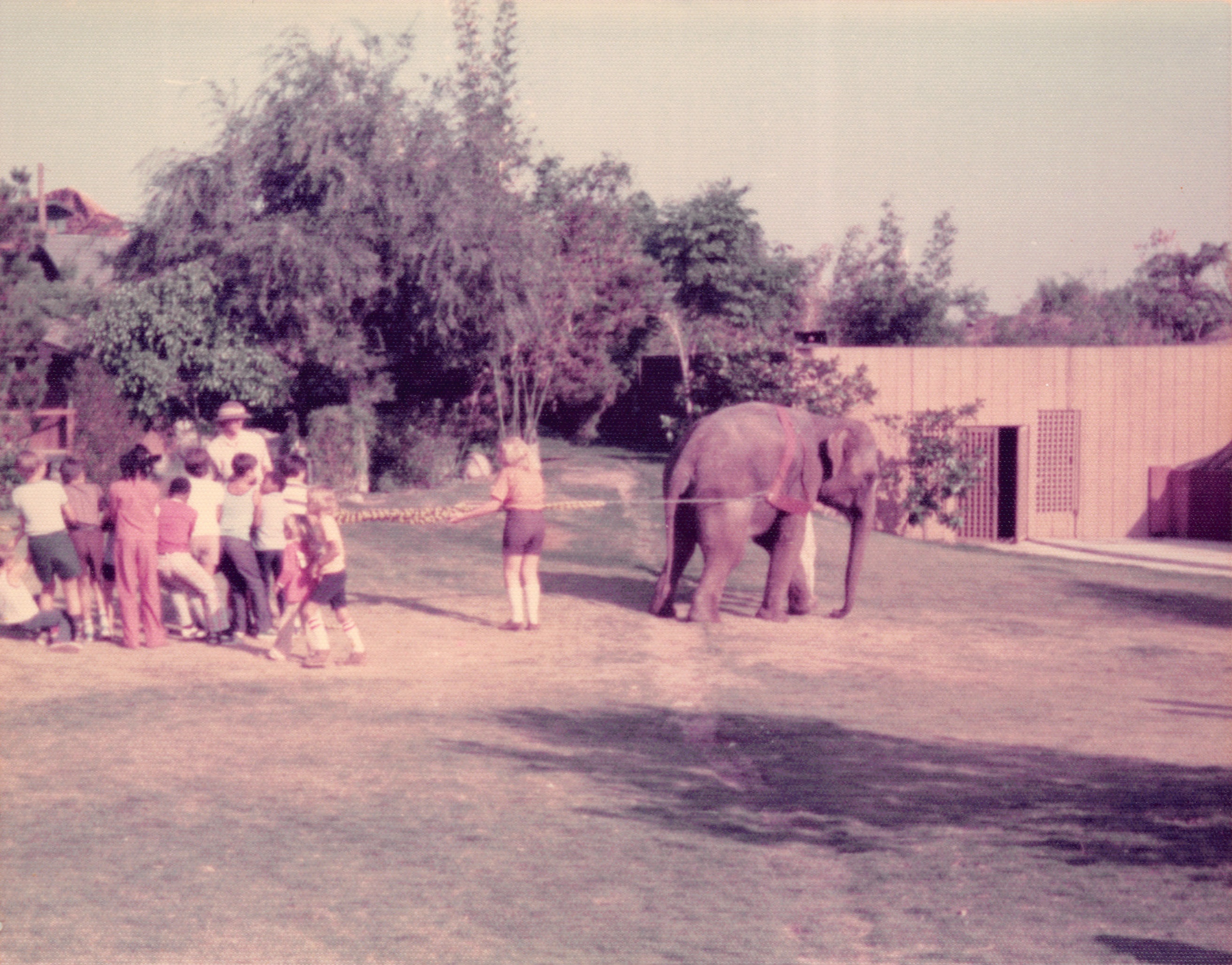 1976_066.jpg