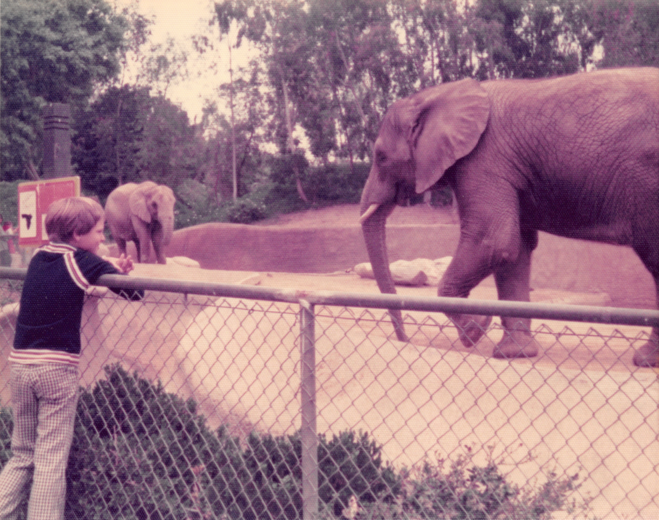 1976_092.jpg