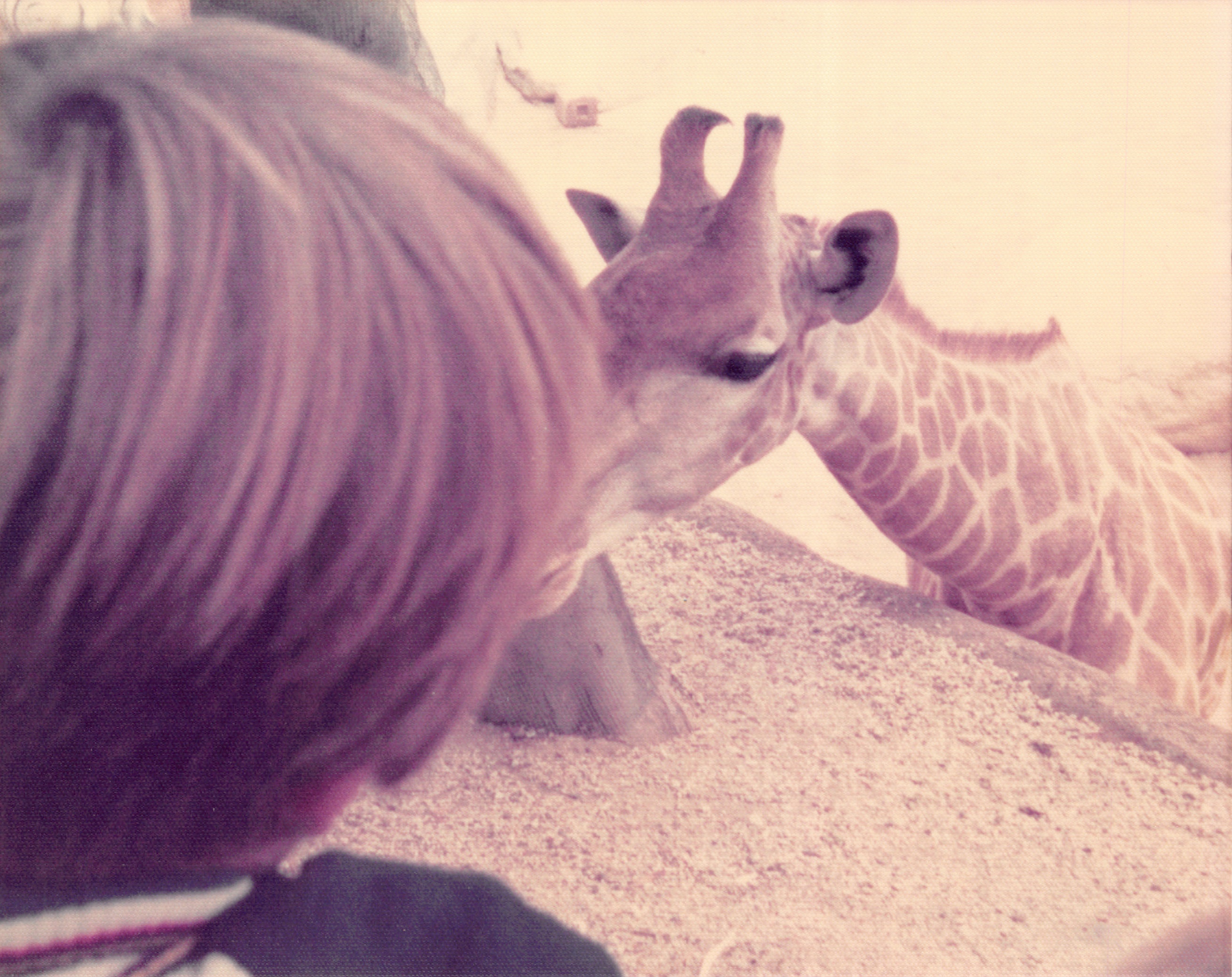 1976_094.jpg
