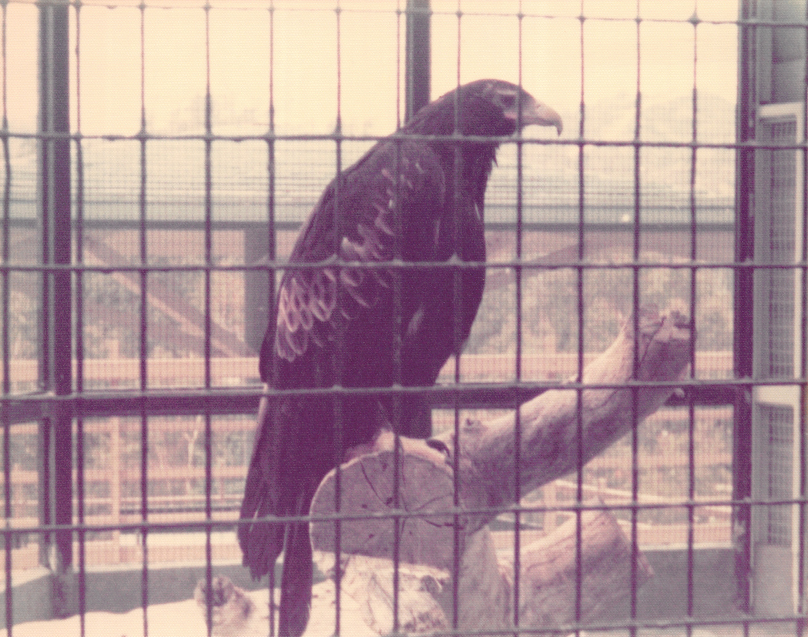 1976_096.jpg