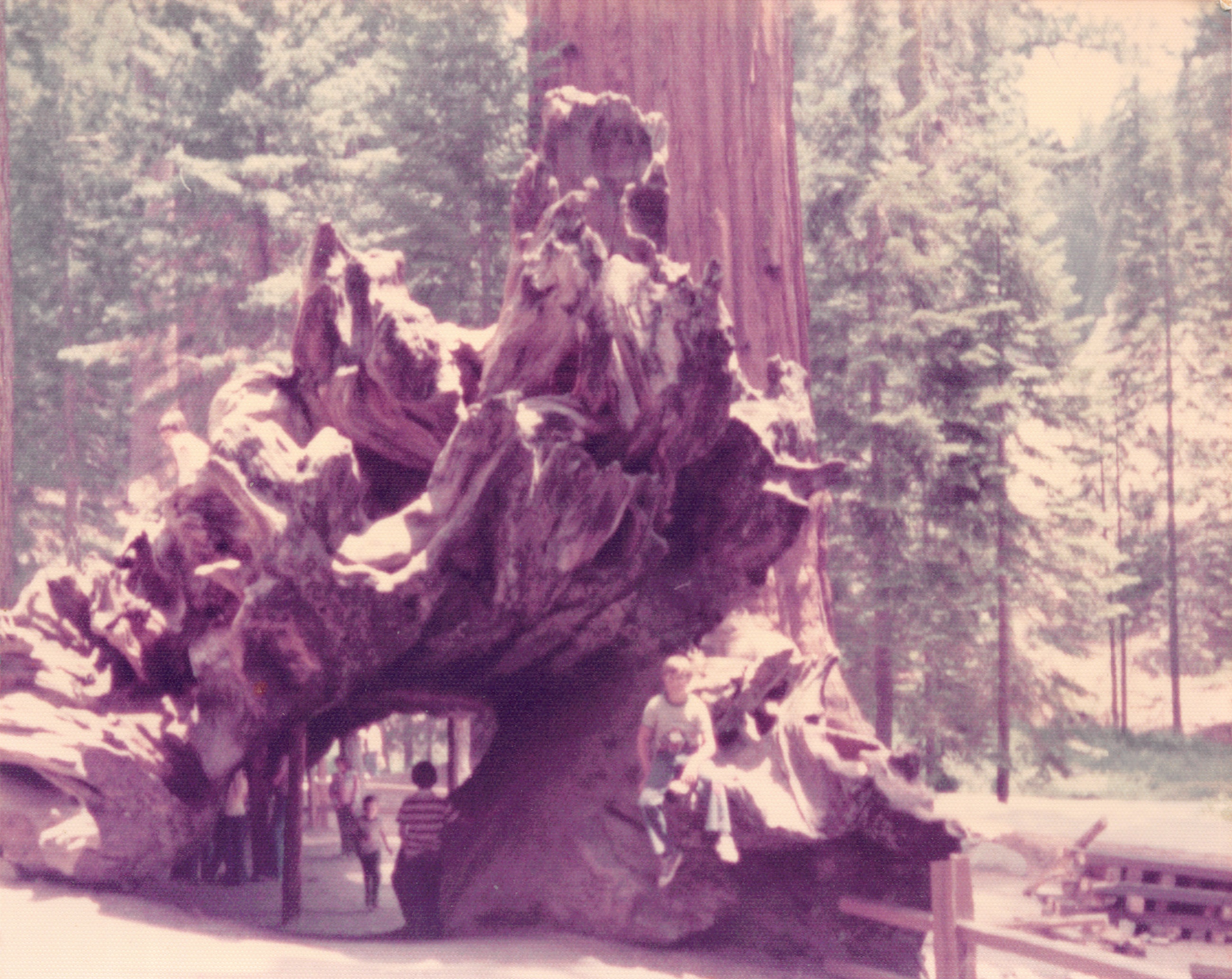 1976_110.jpg