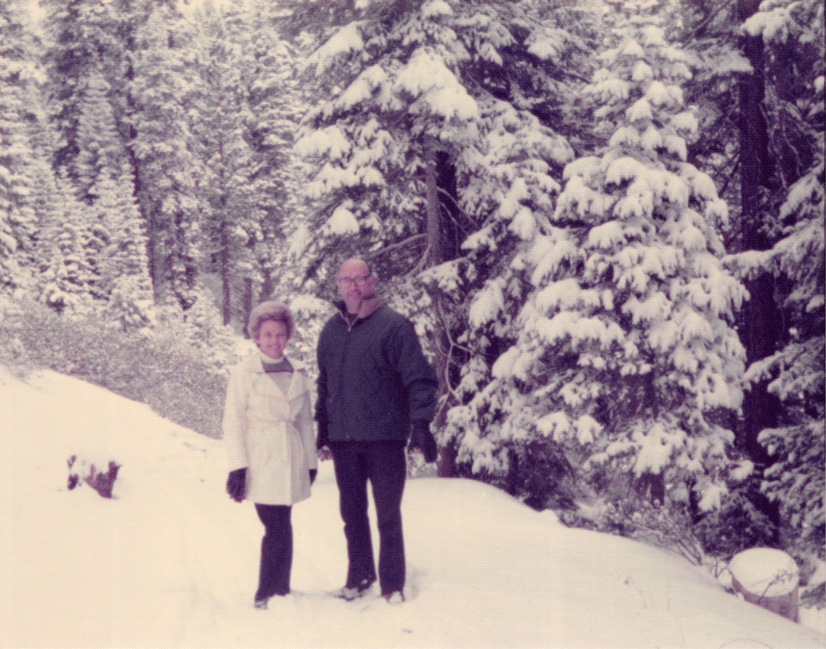 1976_169.jpg
