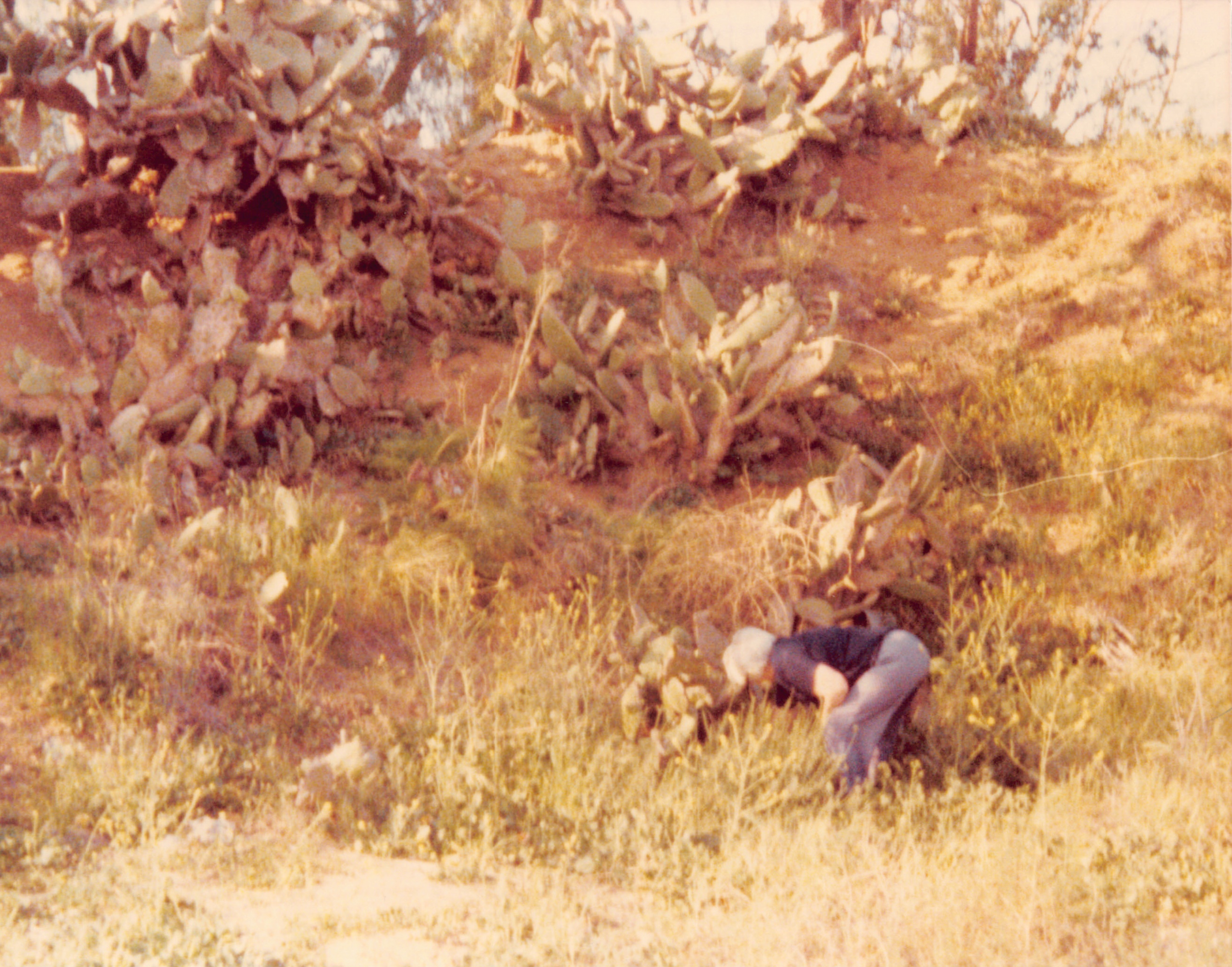 1977_033.jpg
