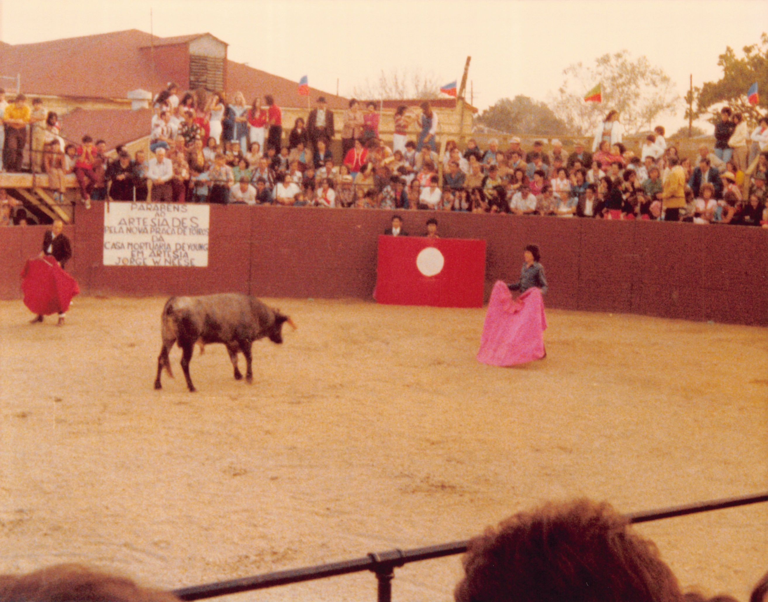 1977_037.jpg