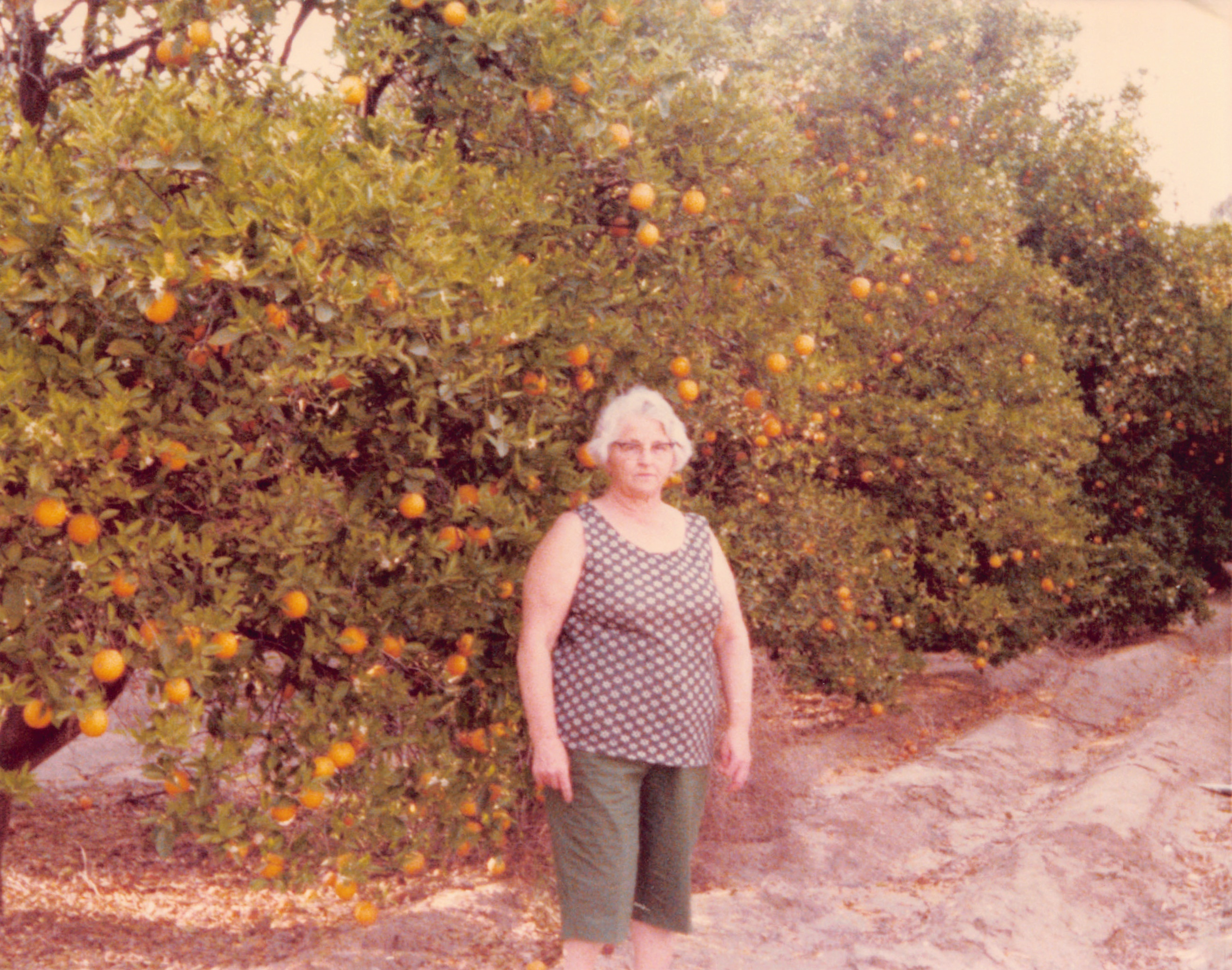 1977_040.jpg