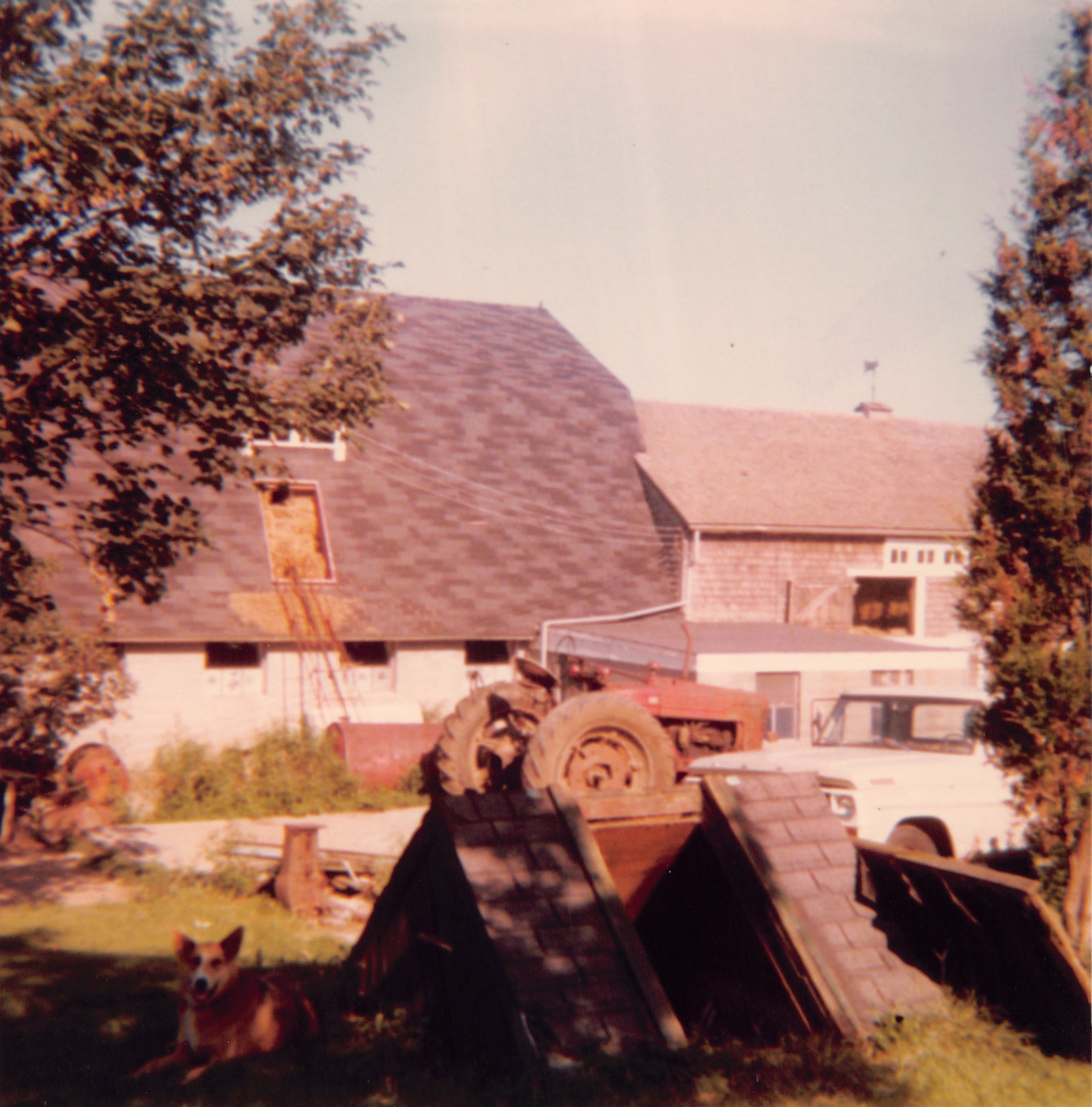 1977_098.jpg