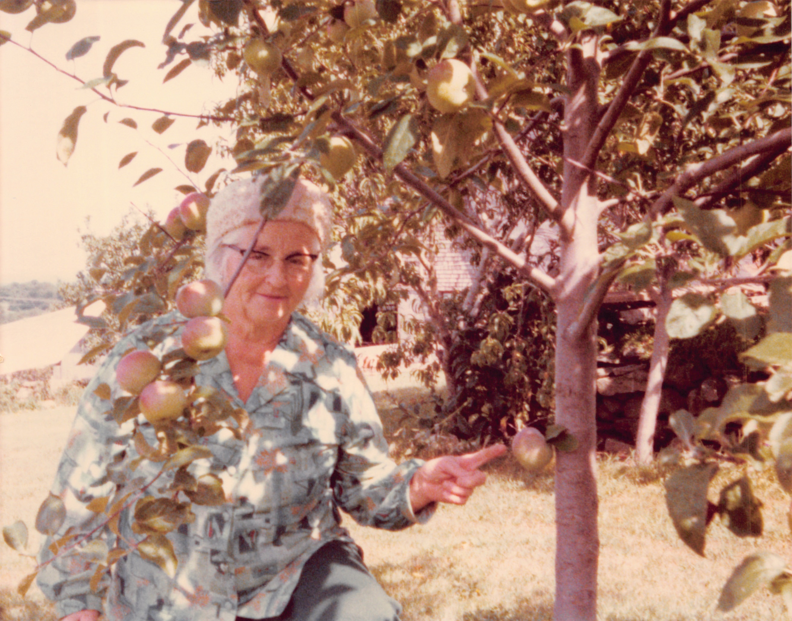 1977_100.jpg