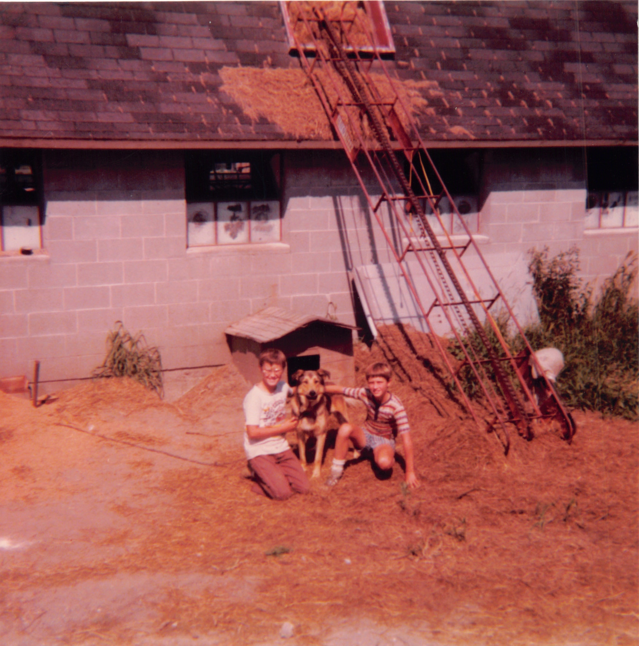 1977_102.jpg