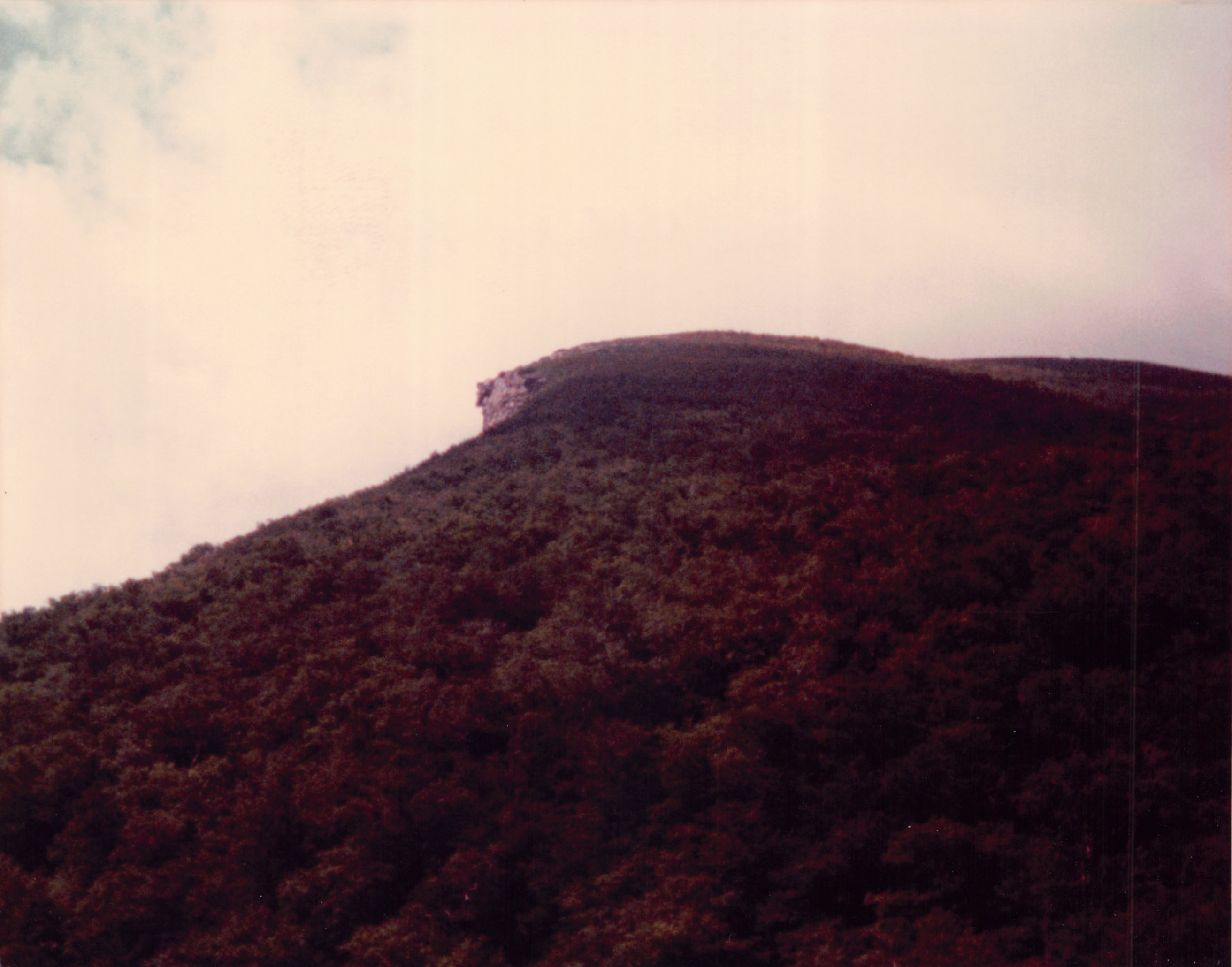 1977_111.jpg