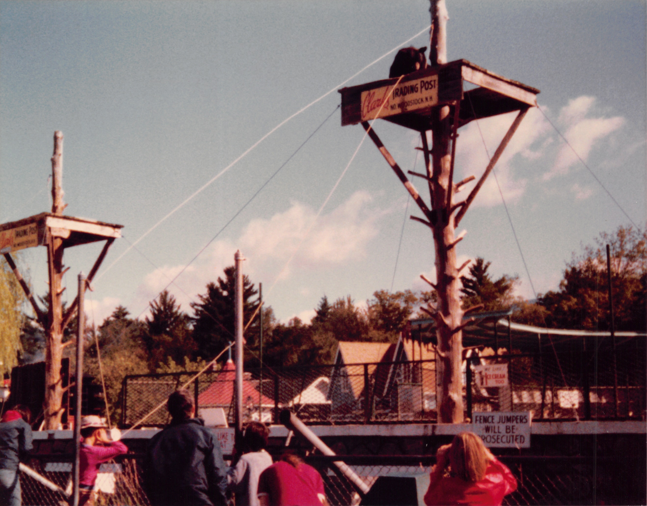 1977_113.jpg