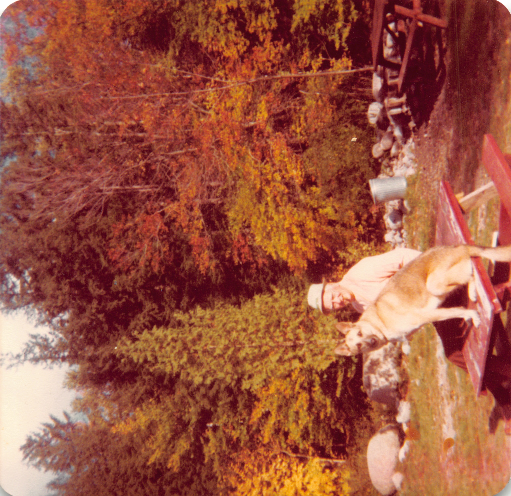 1977_129.jpg
