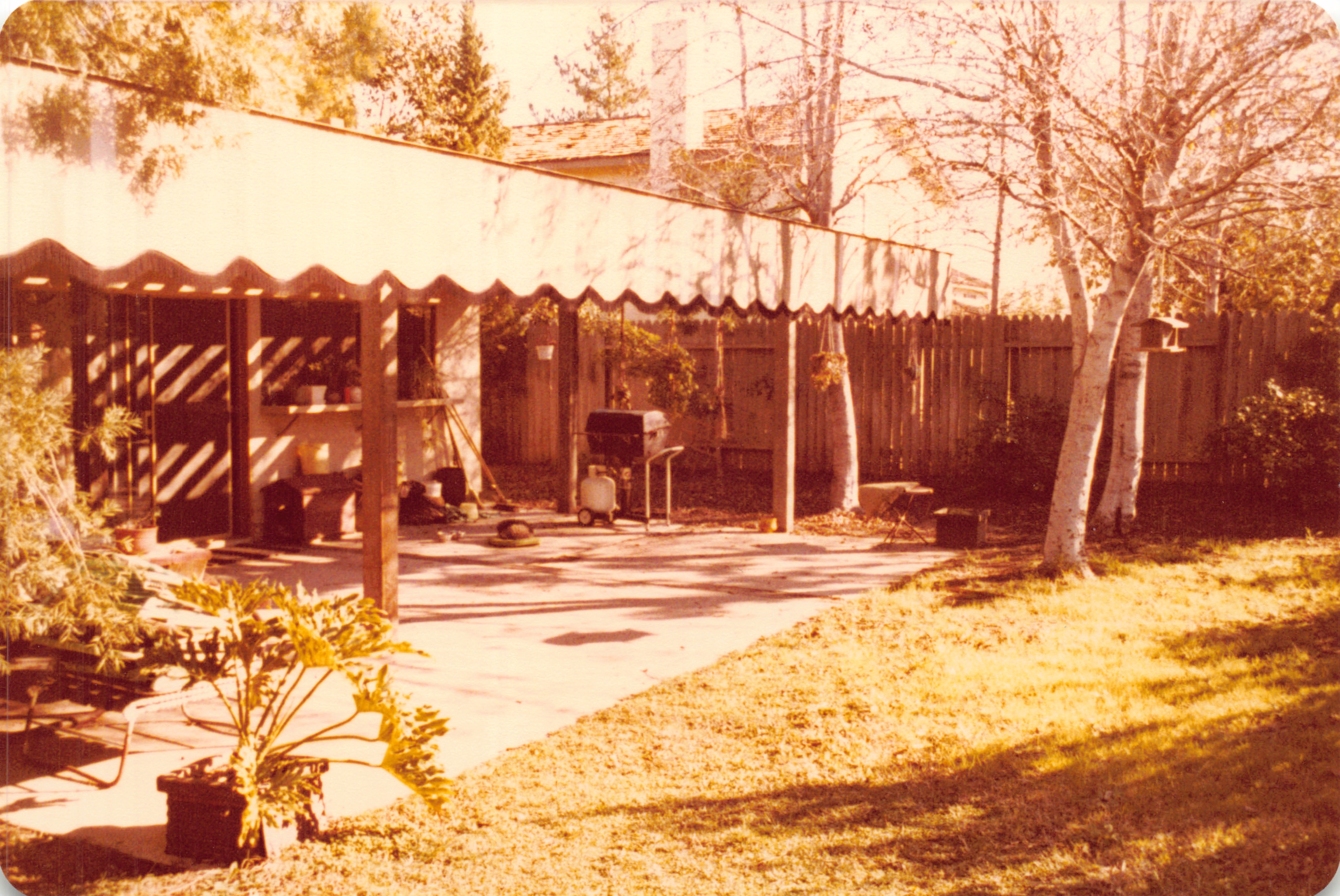 1979_025a.jpg