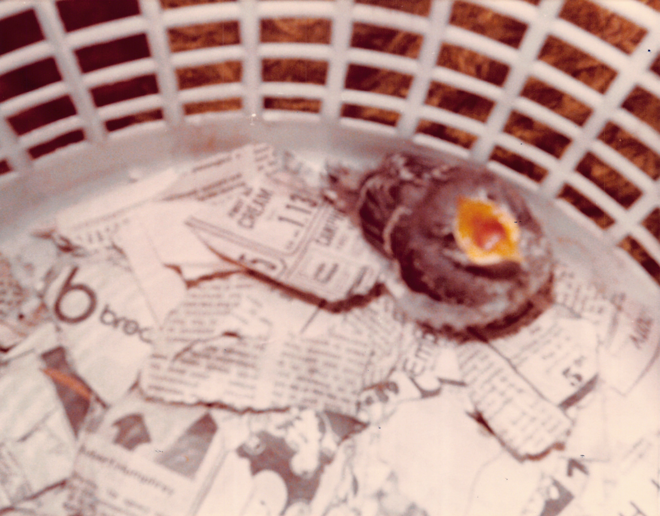 1979_052.jpg