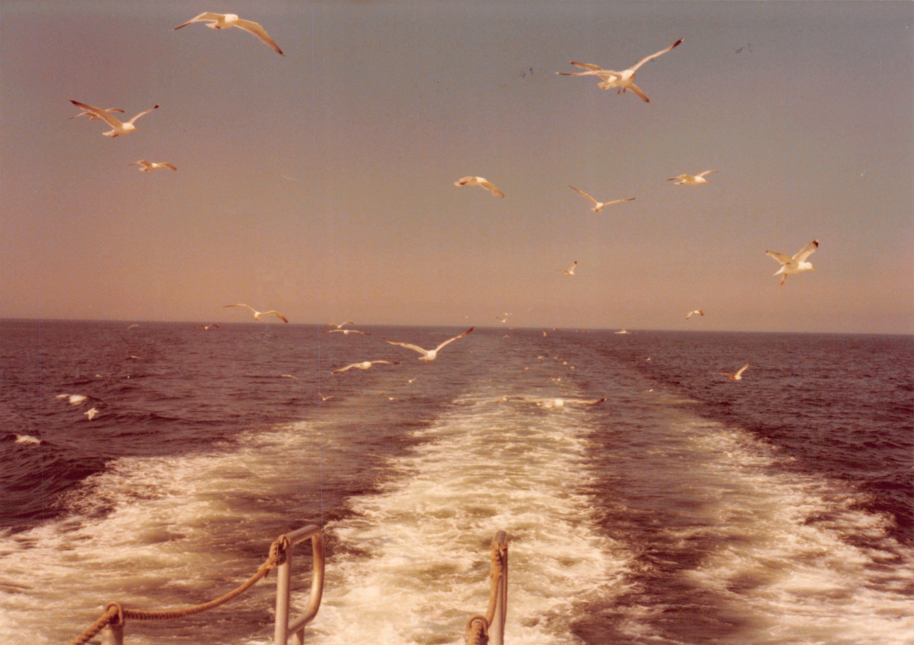 1979_075.jpg