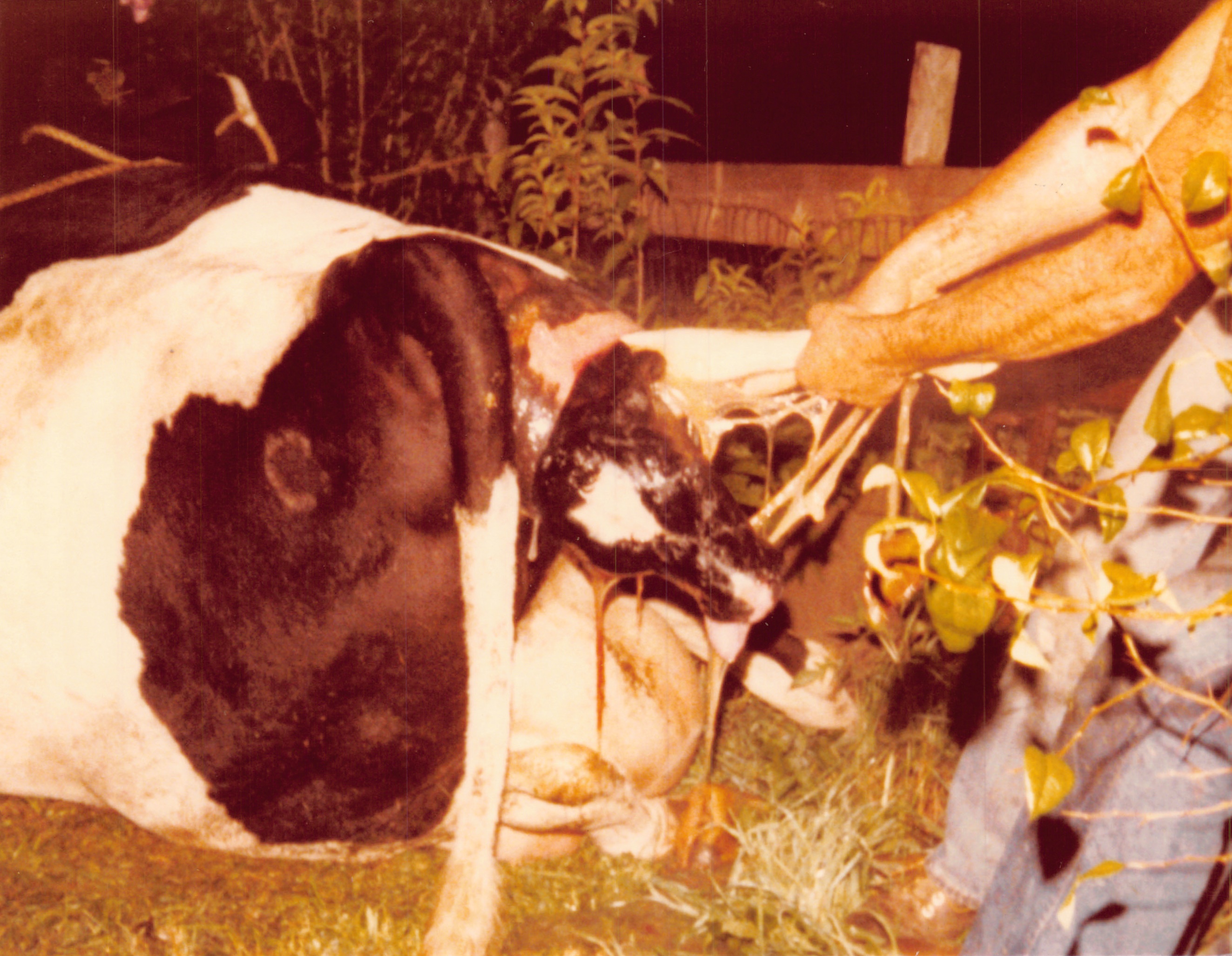 1979b_0029.jpg