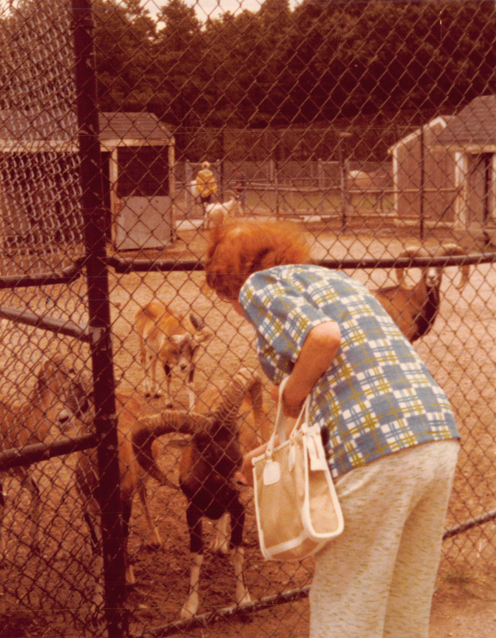 1979b_0117.jpg