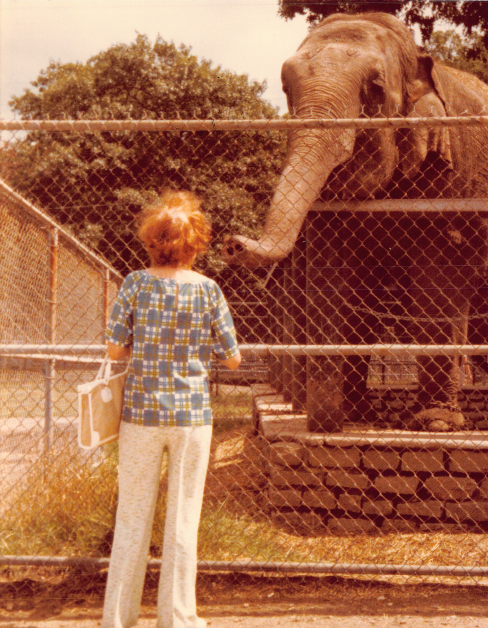 1979b_0119.jpg