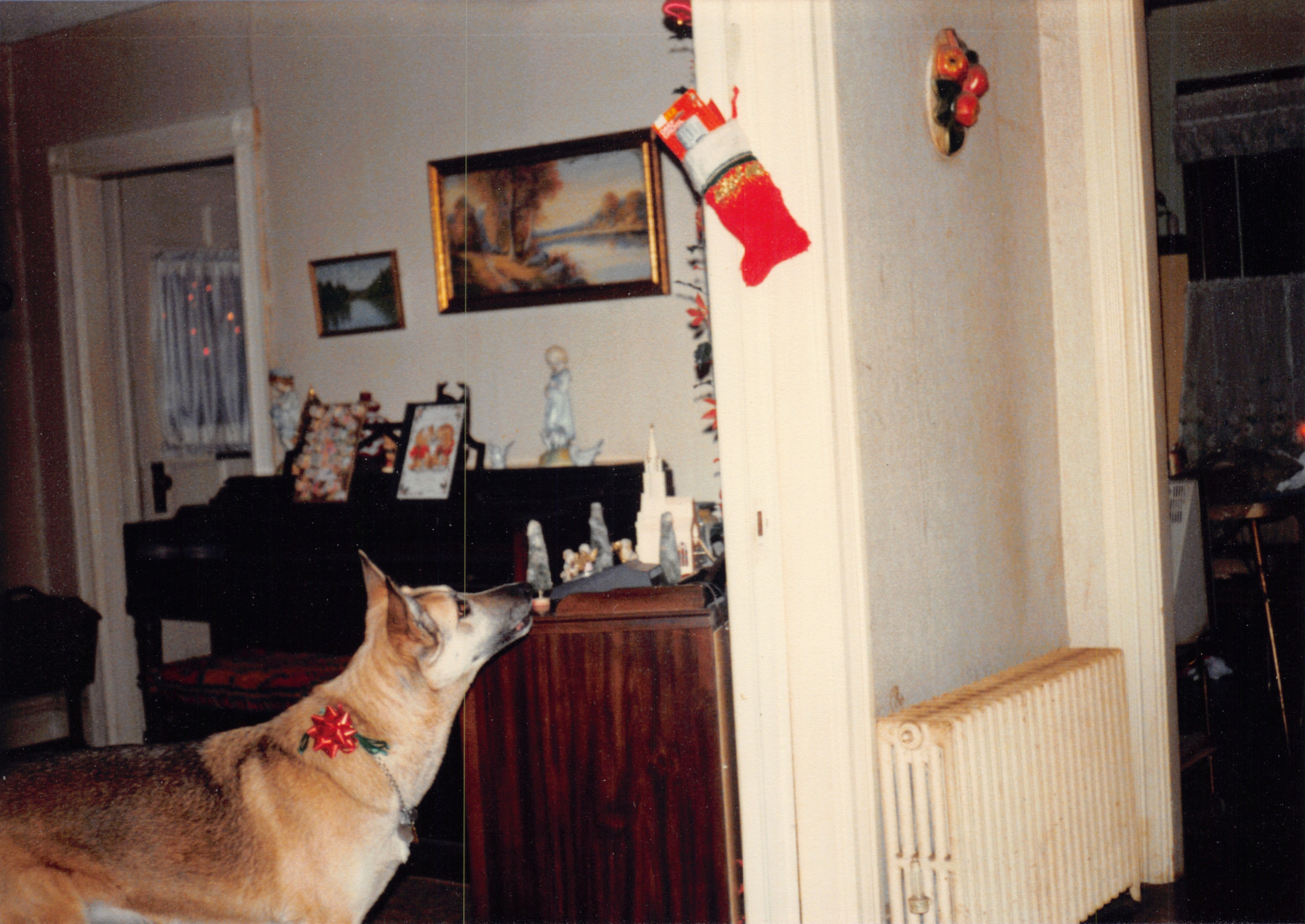 1979c_138.jpg