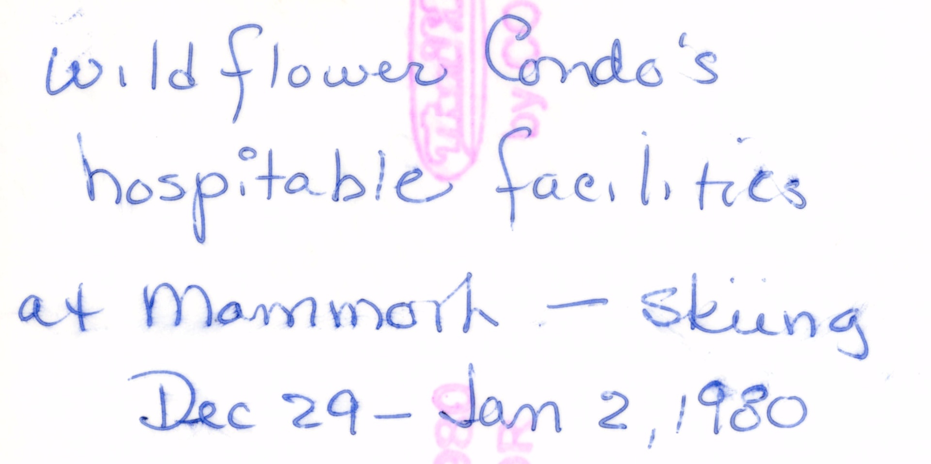 1979c_159.jpg