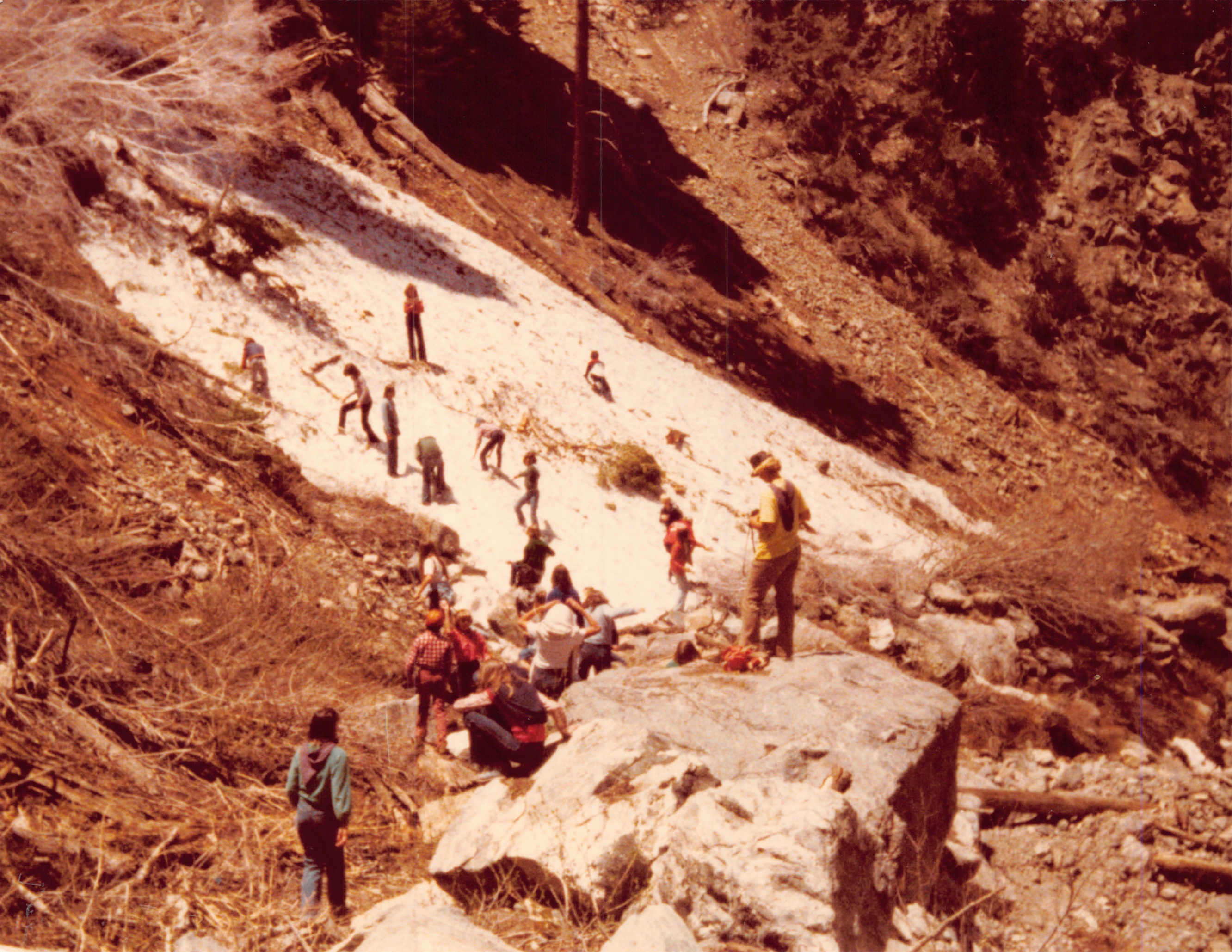 1980c_031.jpg